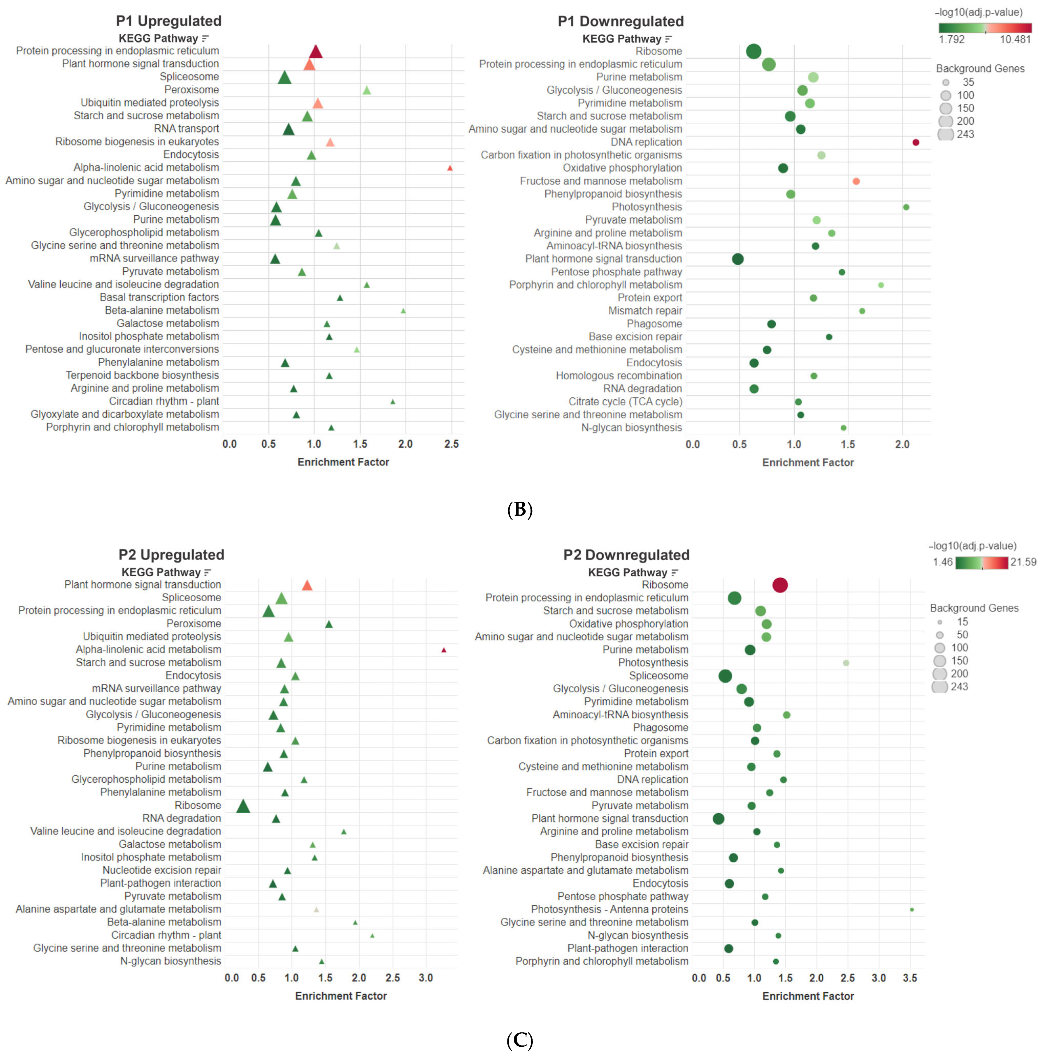 Applsci 13 11403 g007b