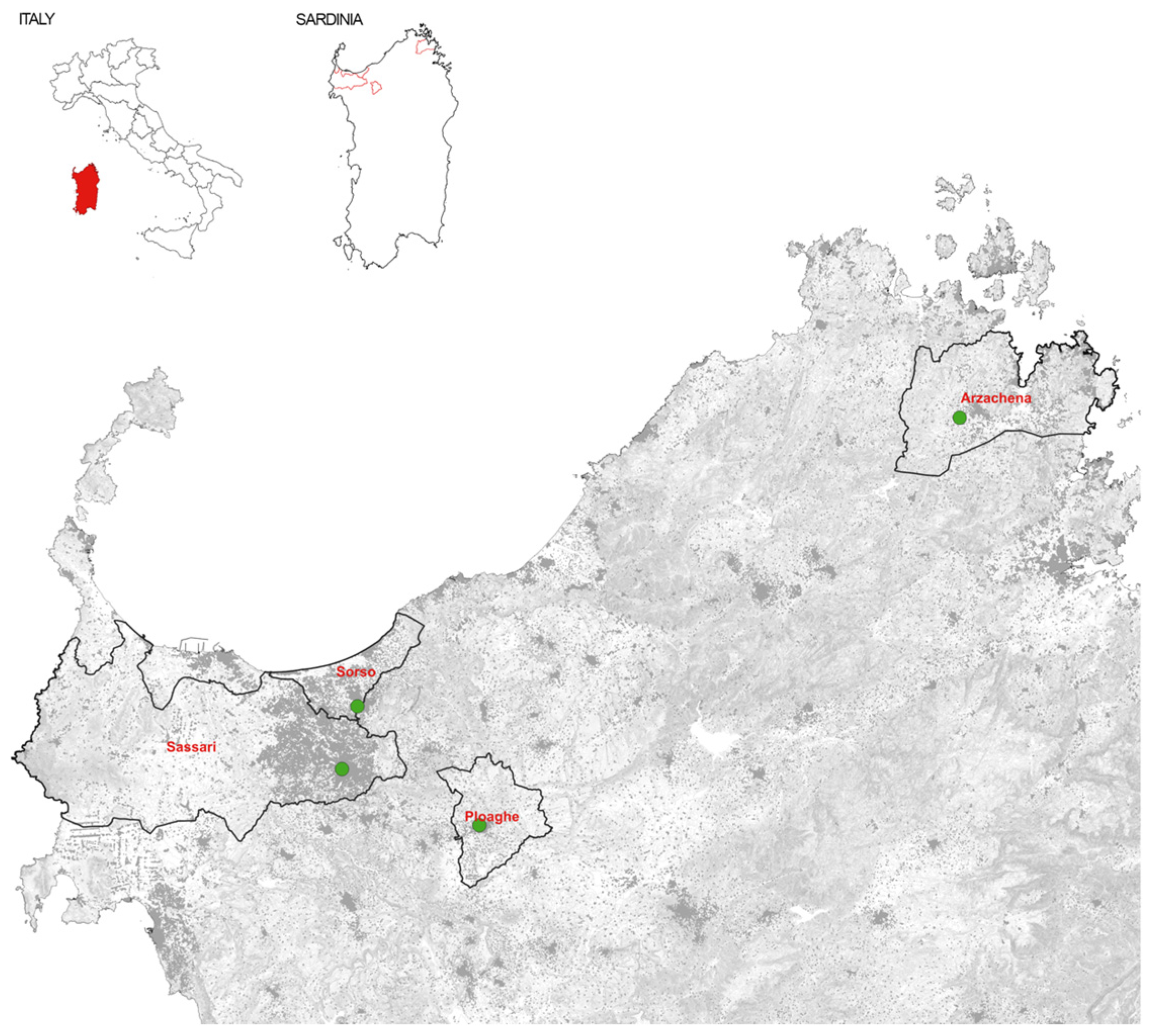 Applsci 13 11418 g001