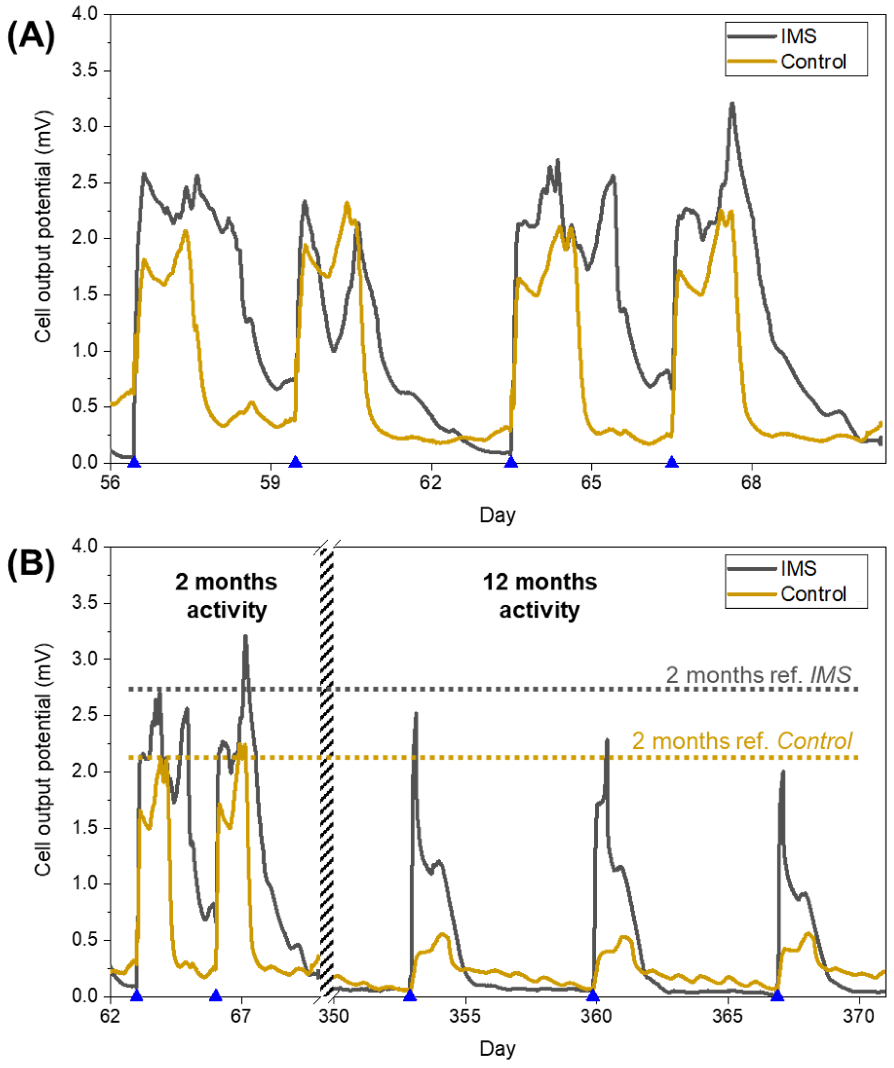 Applsci 13 11423 g003