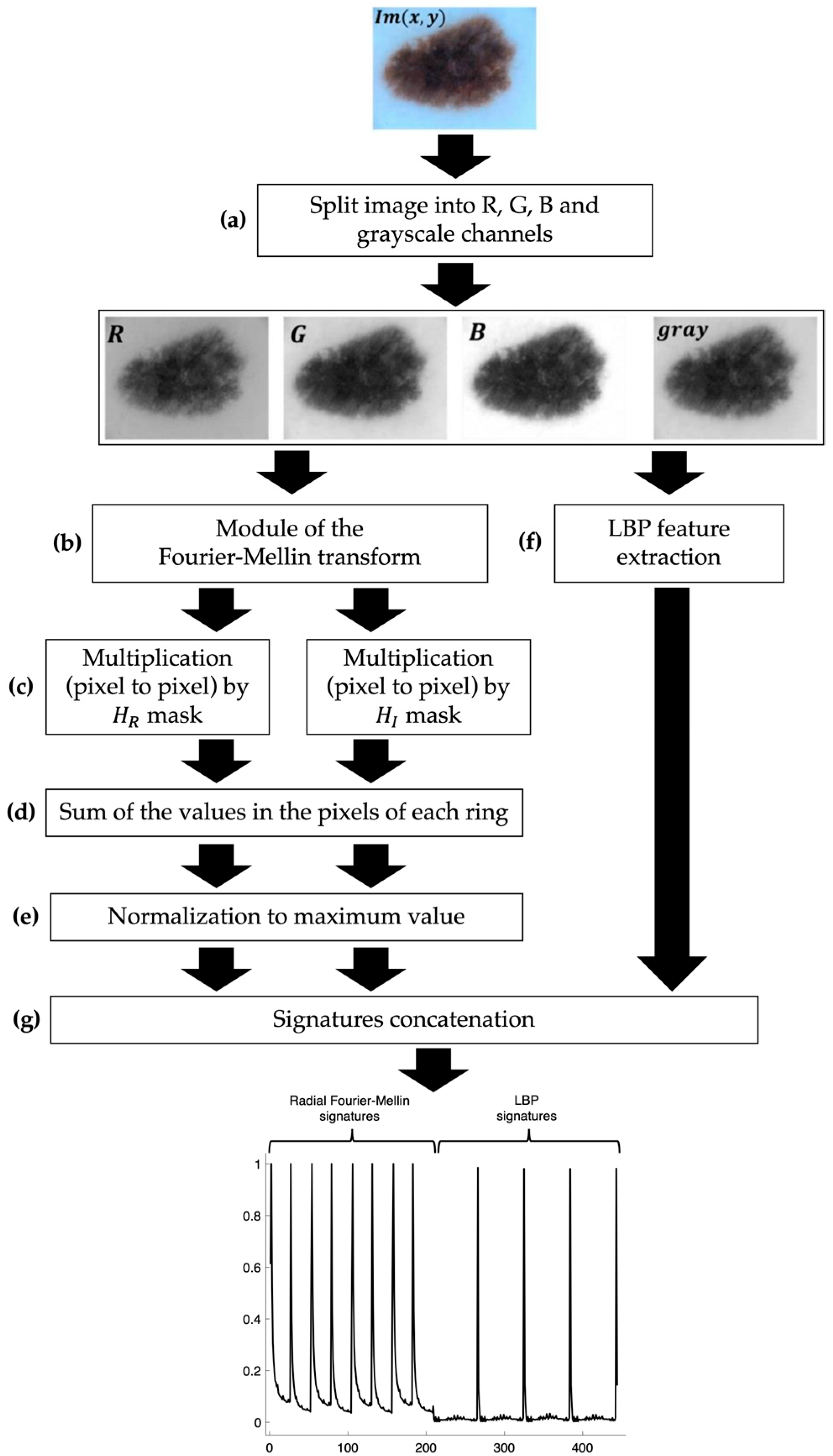 Applsci 13 11425 g003 Applsci 13 11425 g003