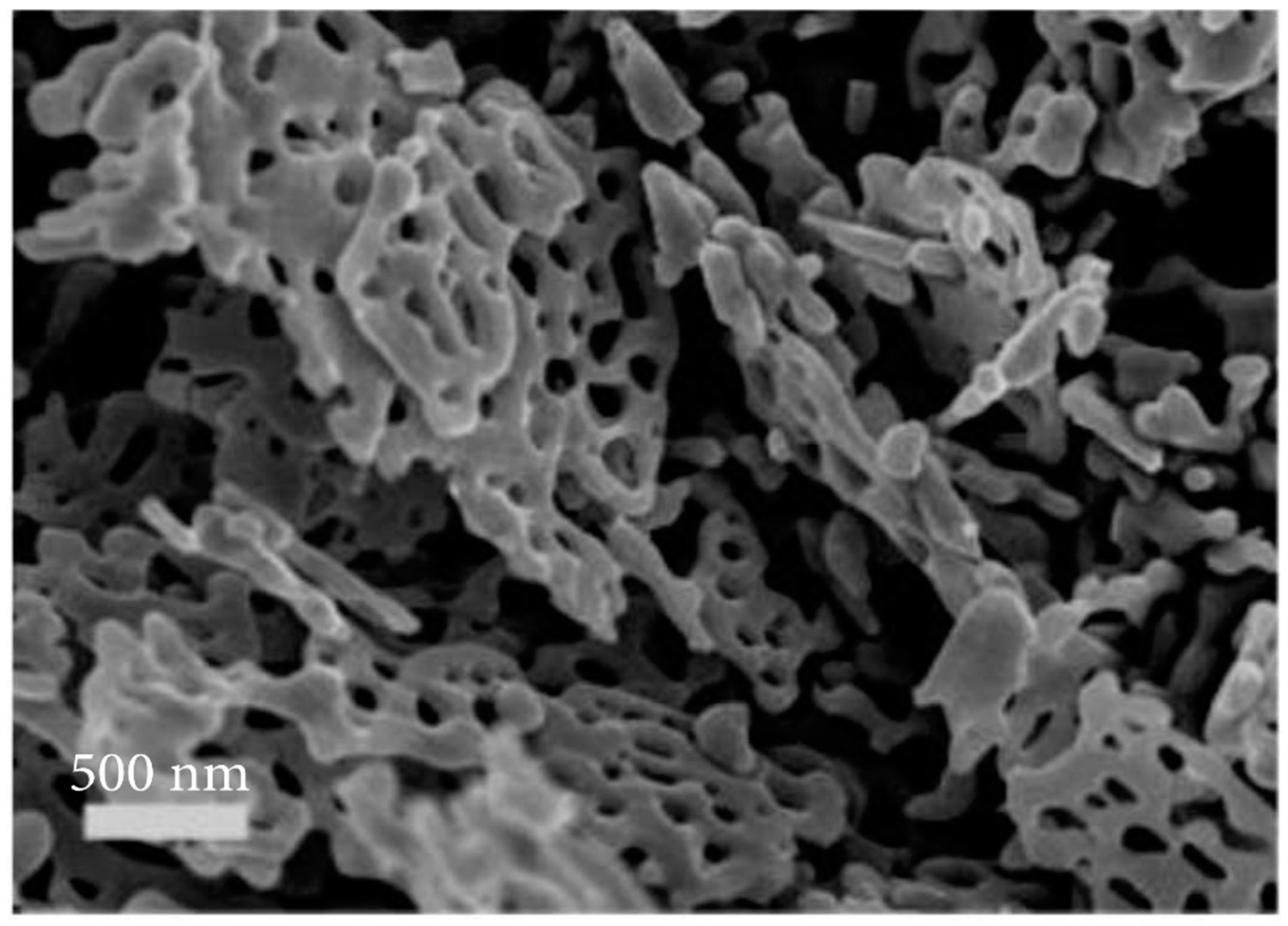 Applsci 13 11459 g003