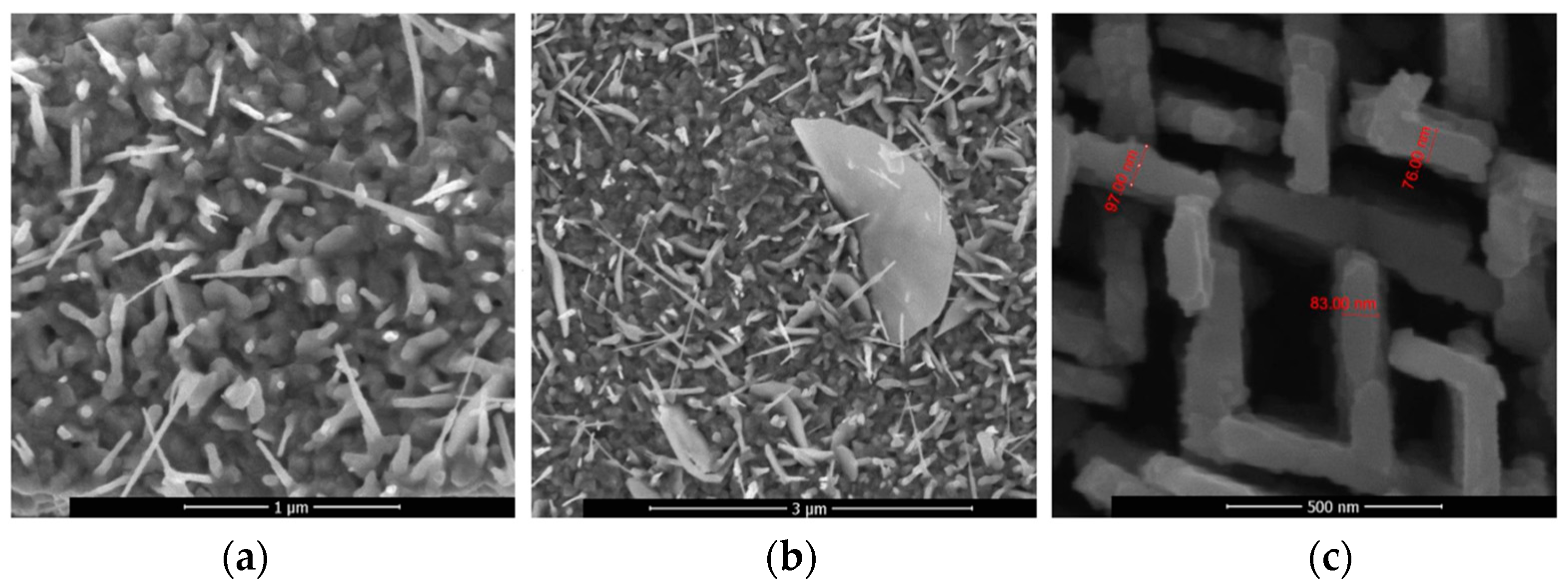 Applsci 13 11459 g013