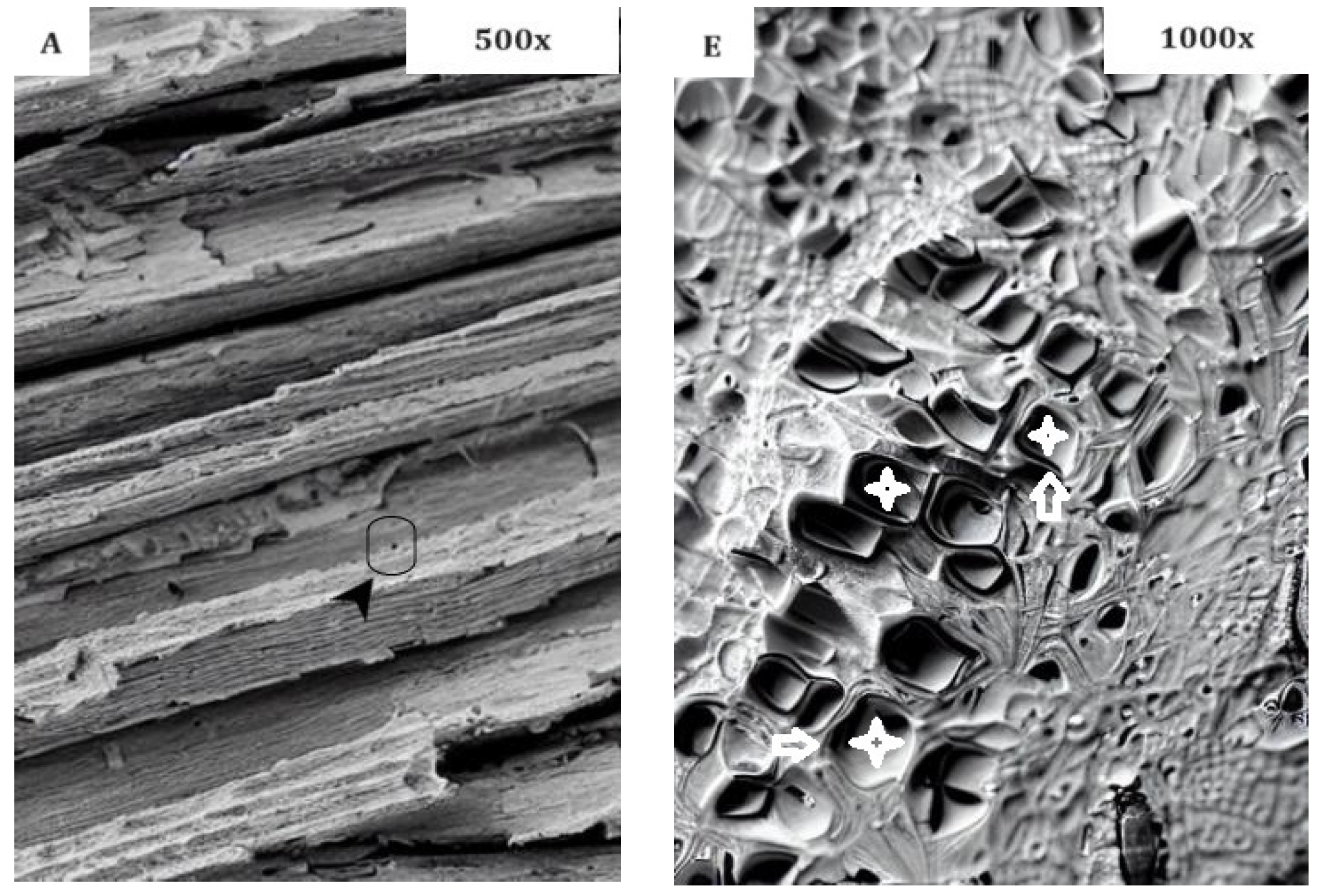 Applsci 13 11482 g004