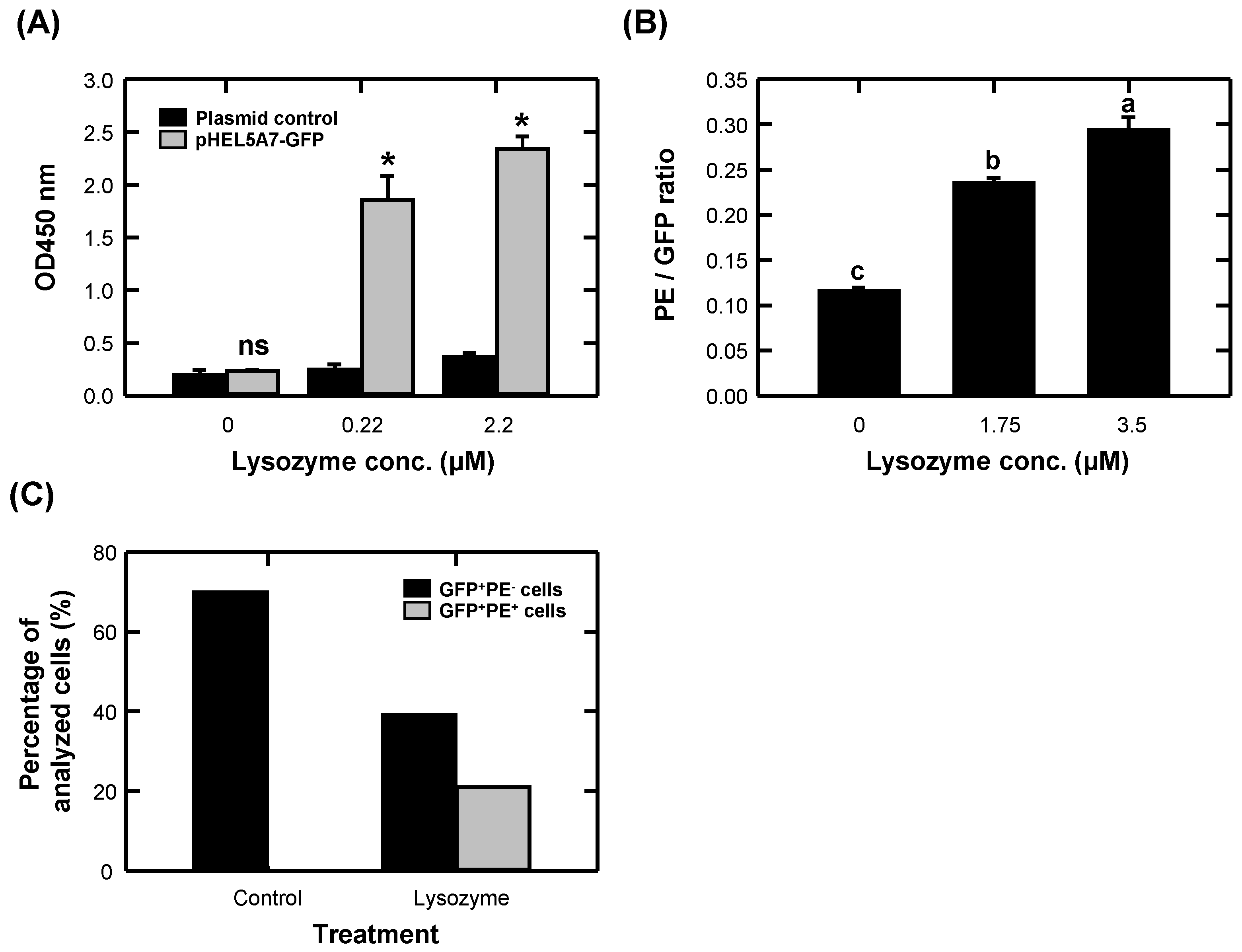 Applsci 13 11520 g002