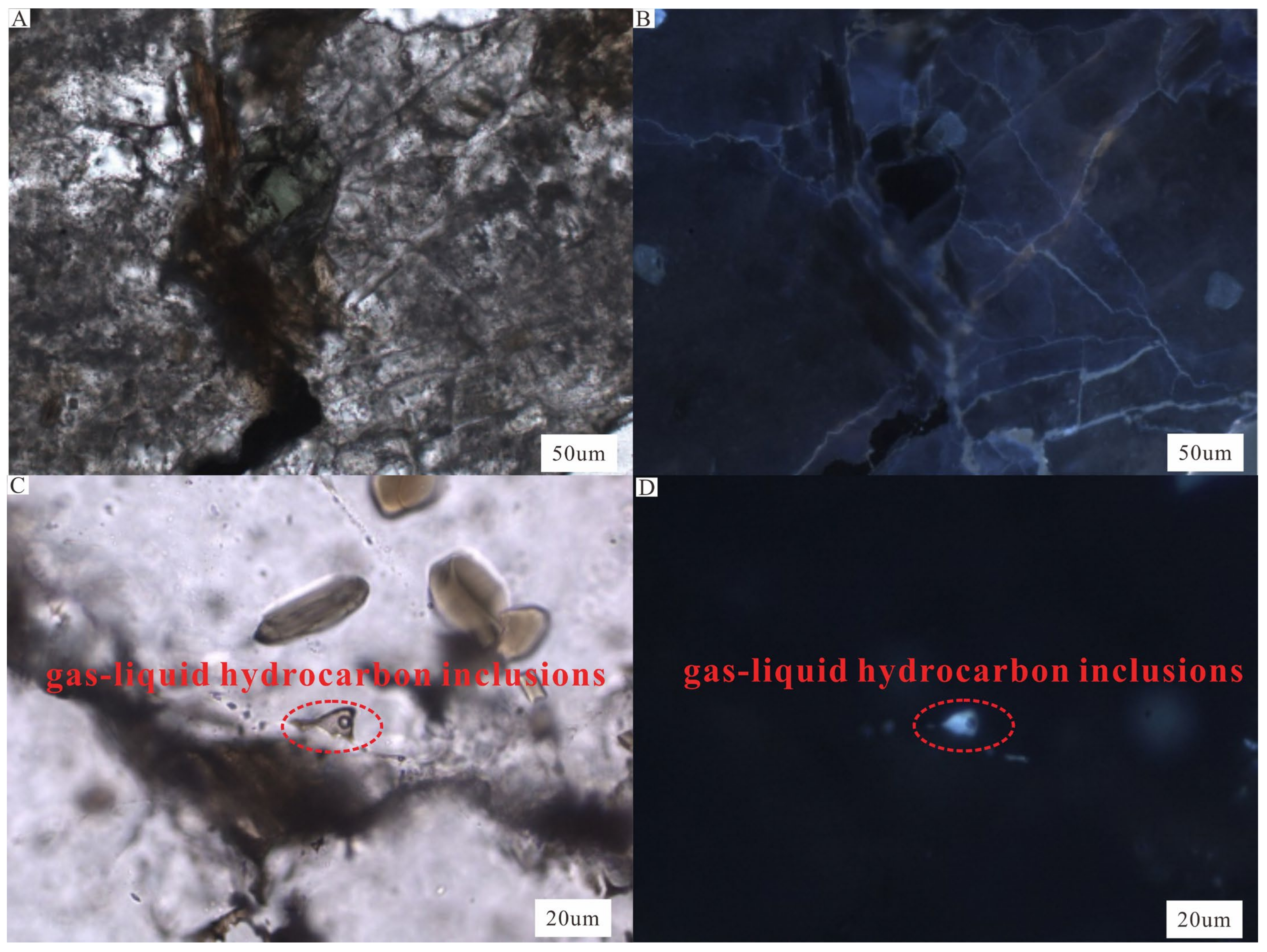 Applsci 13 11522 g005