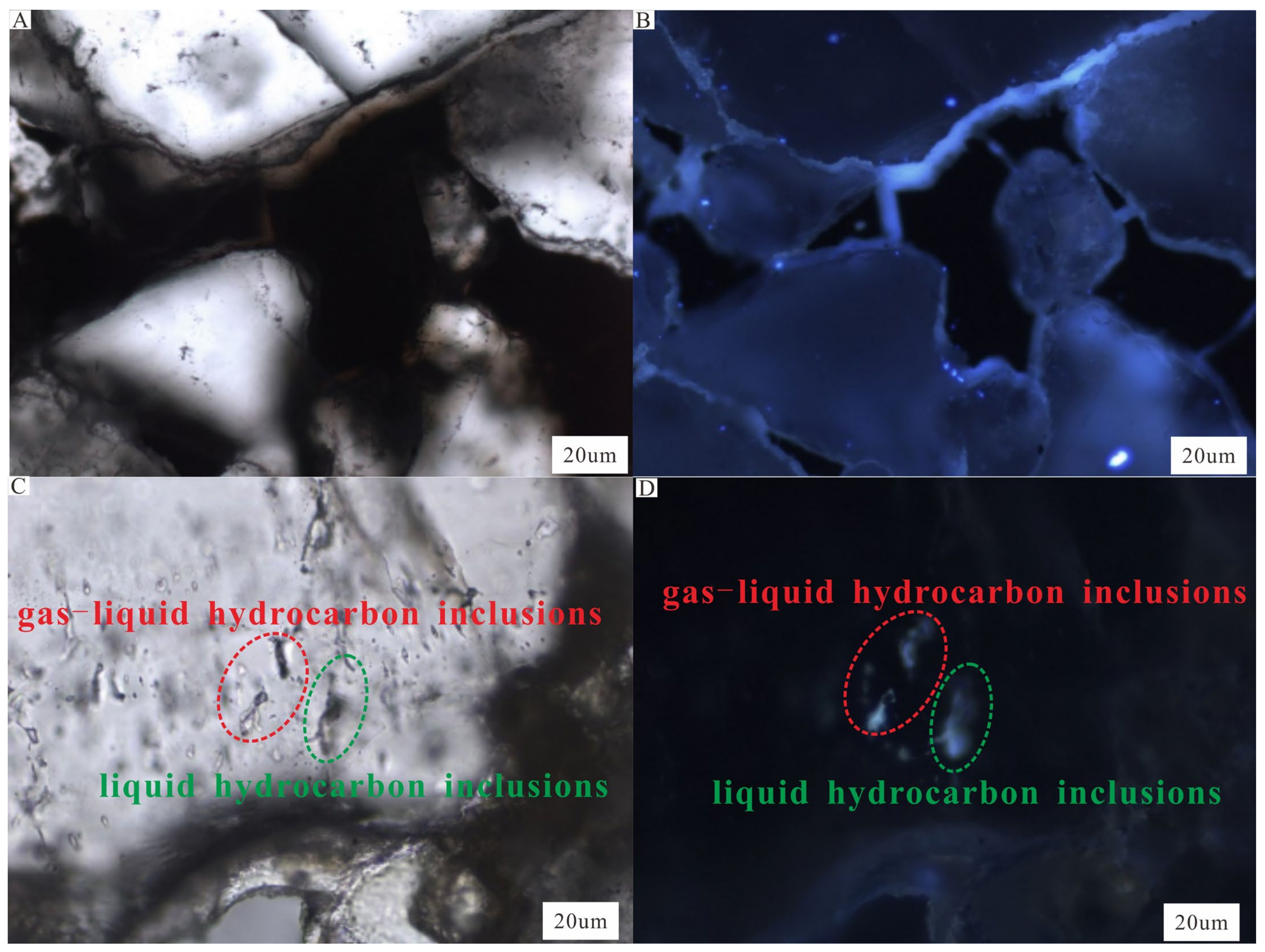 Applsci 13 11522 g006