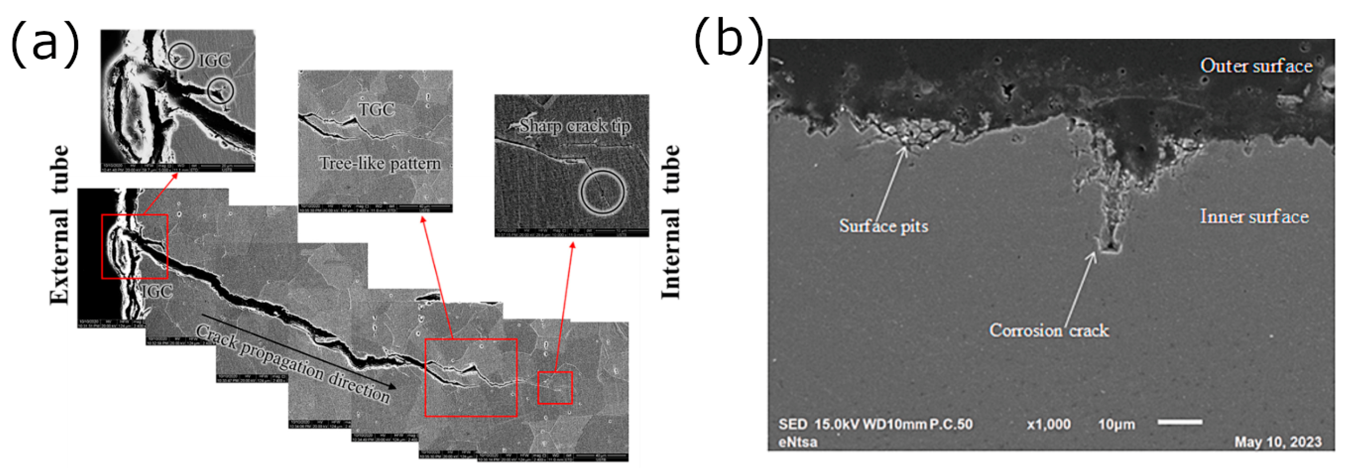 Applsci 13 11549 g004
