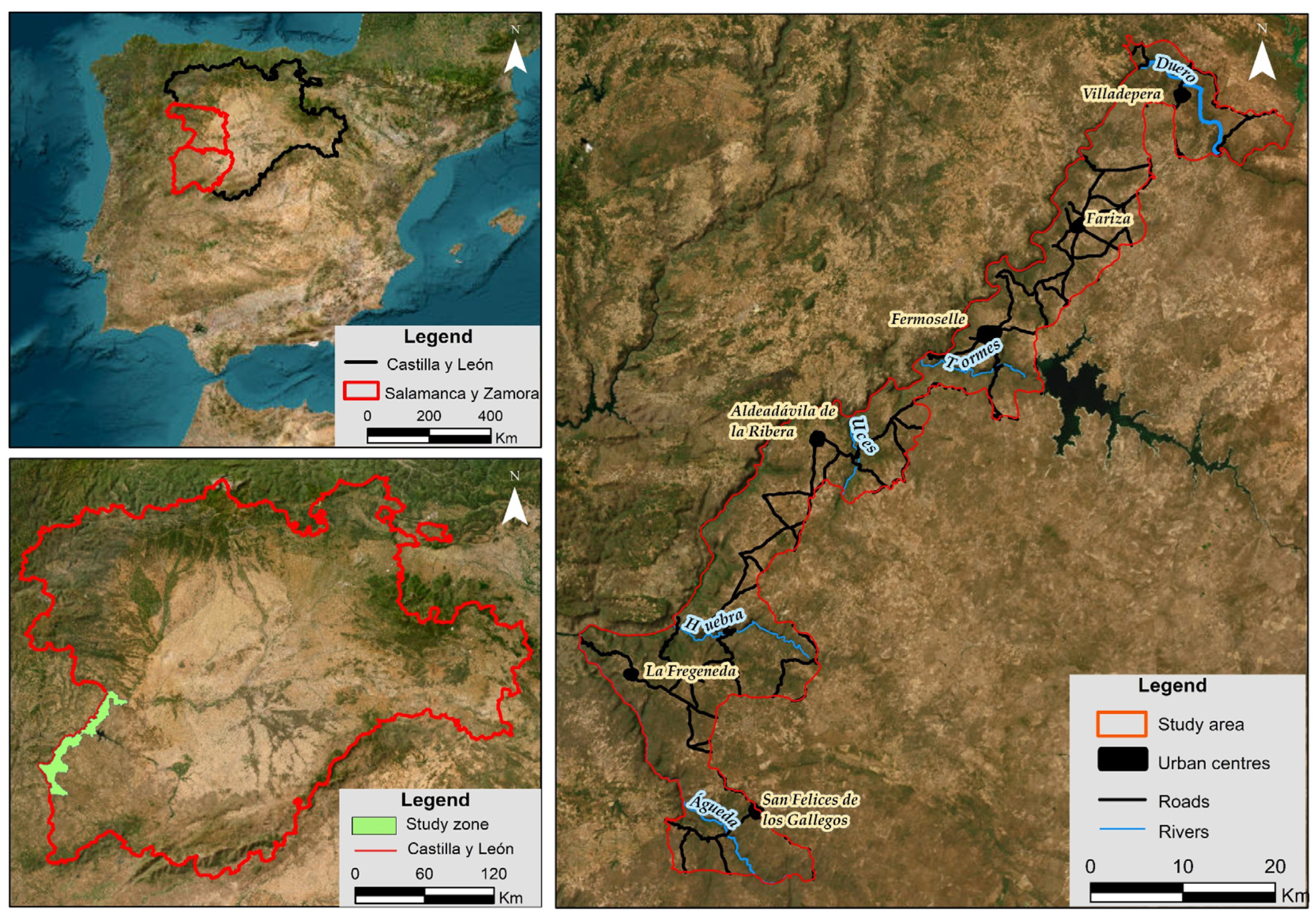 Applsci 13 11556 g001