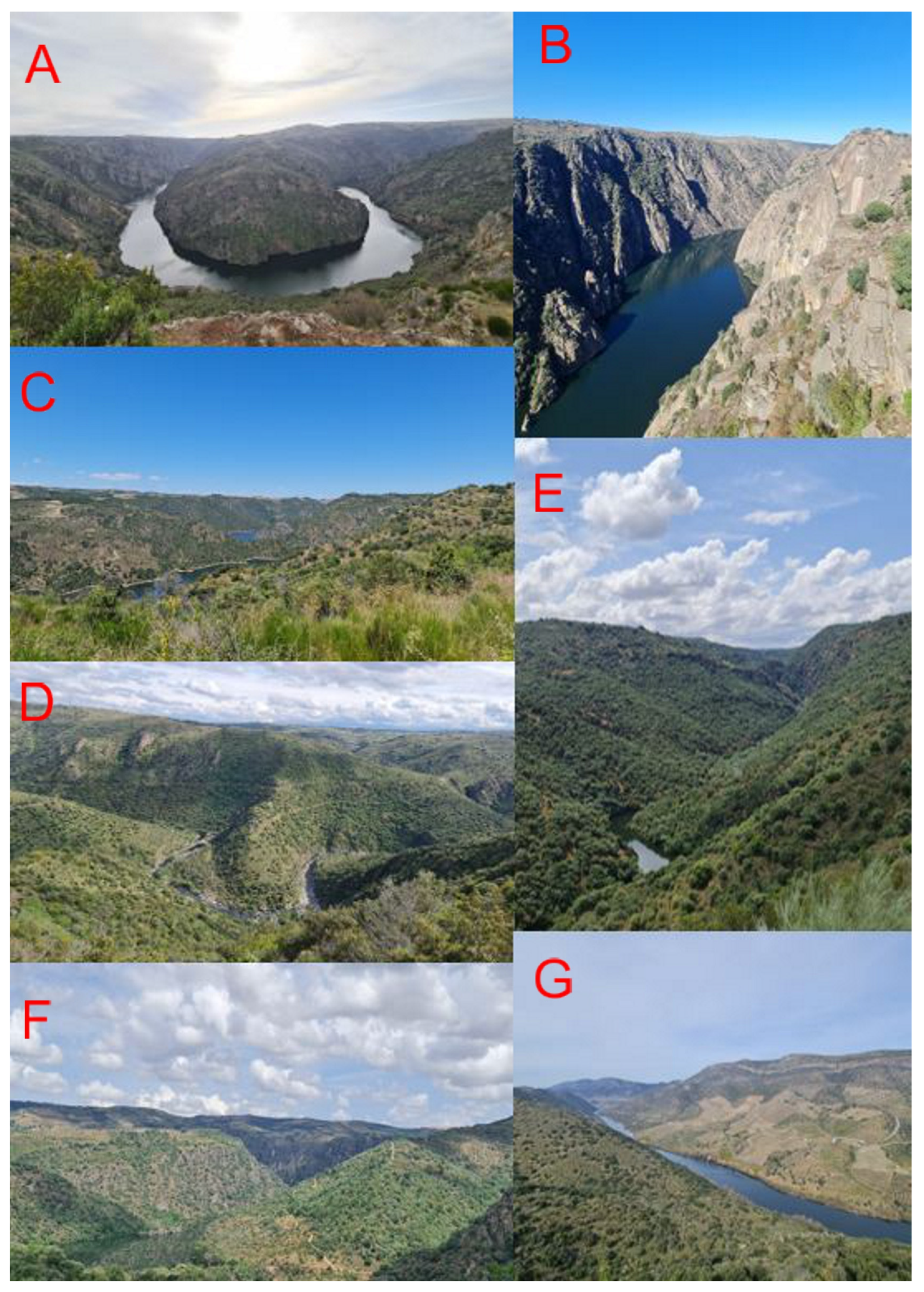 Applsci 13 11556 g004