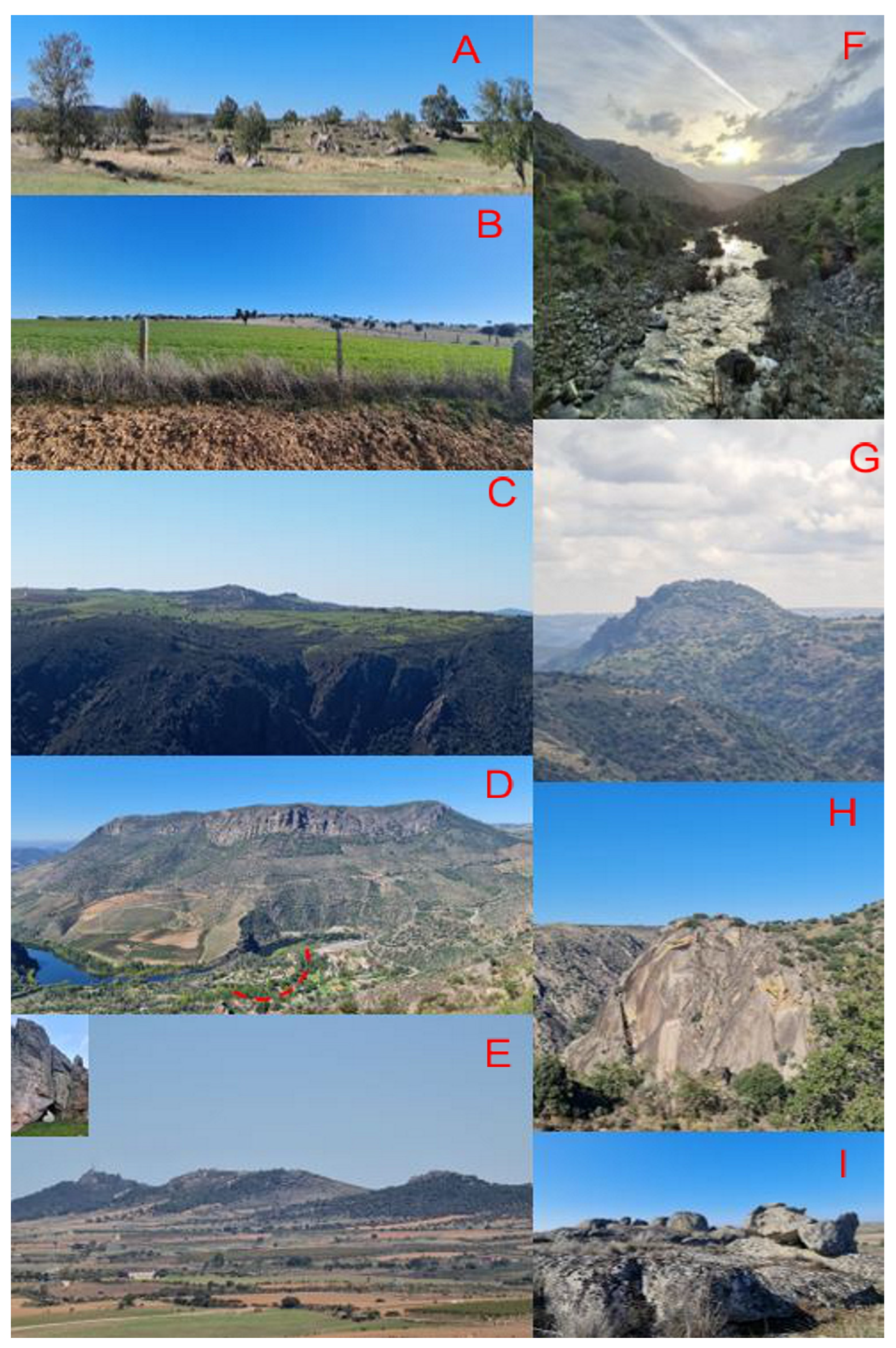 Applsci 13 11556 g005