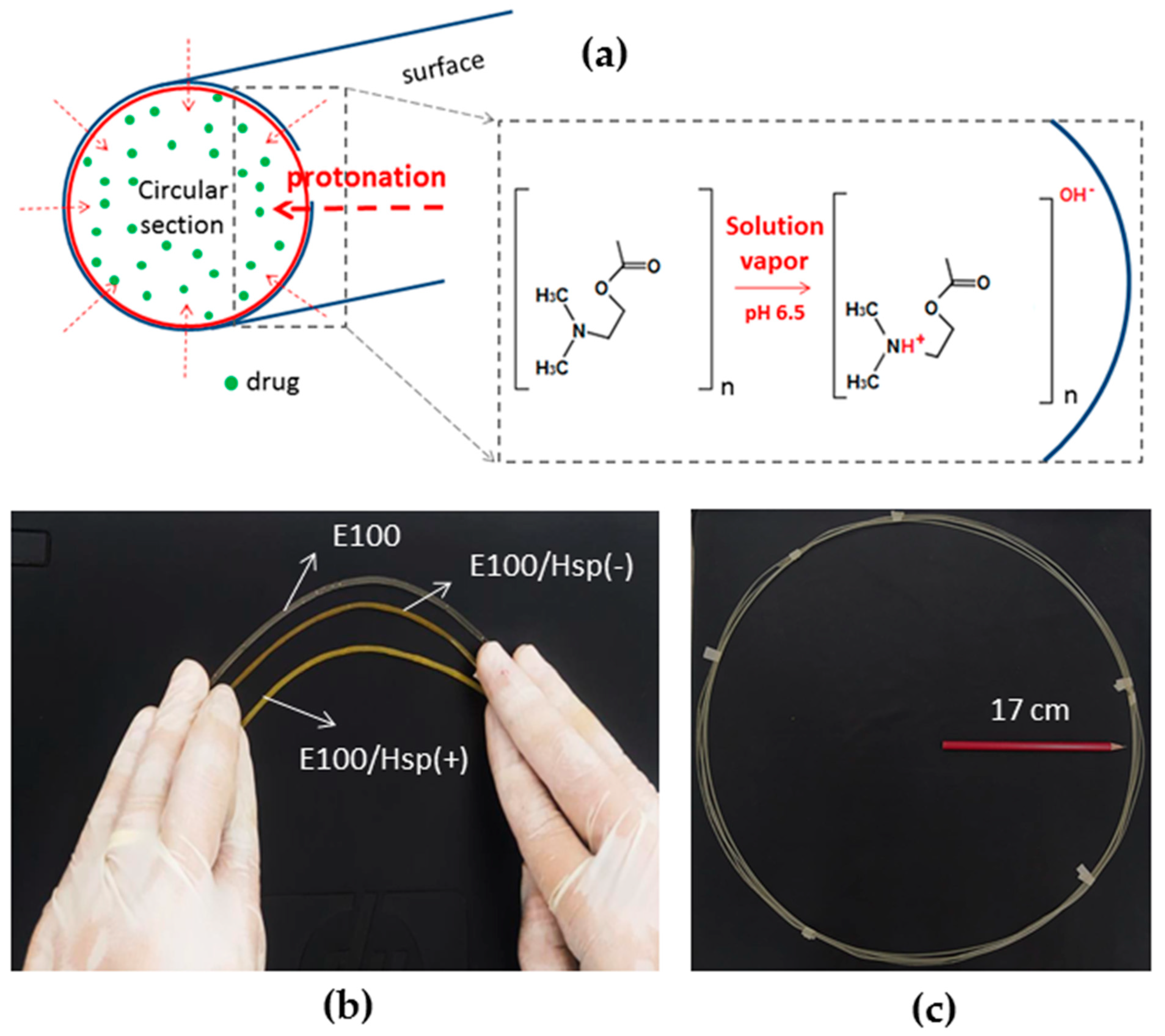 Applsci 13 11558 g005