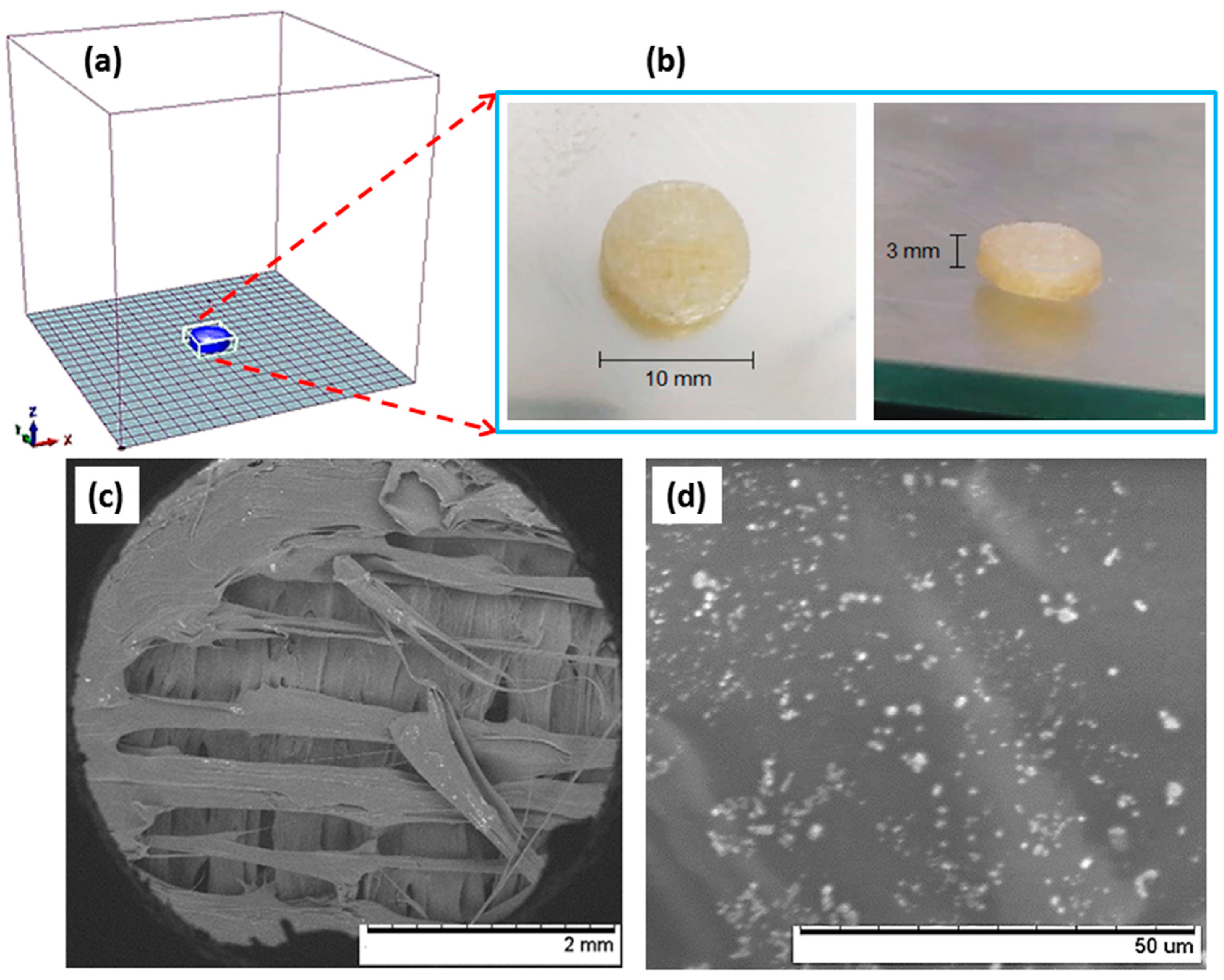 Applsci 13 11558 g012