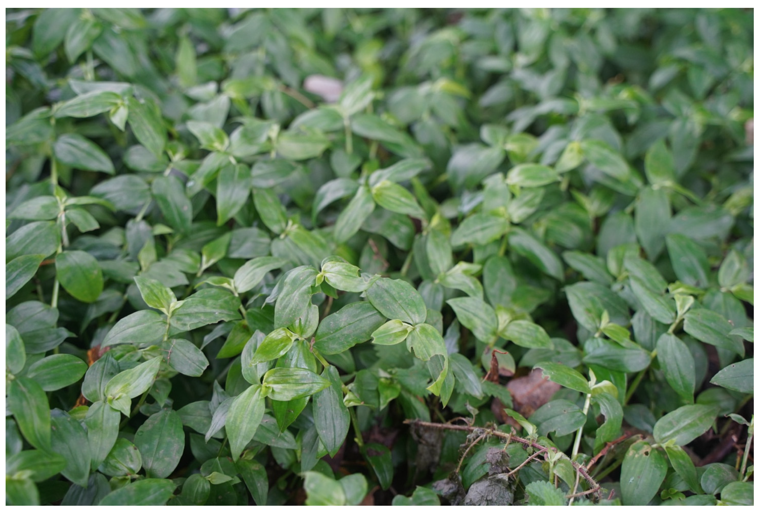 Applsci 13 11568 g002