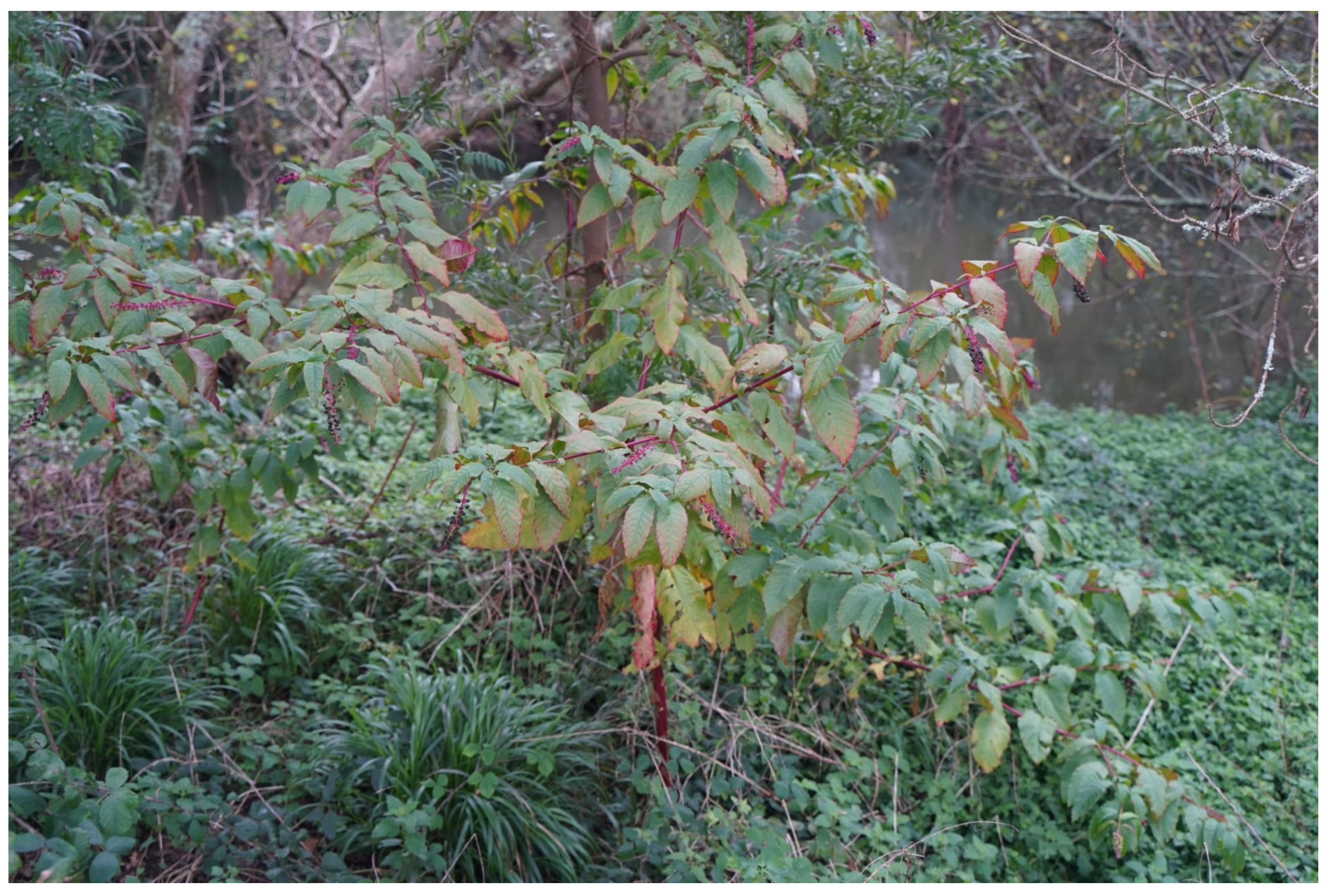 Applsci 13 11568 g003