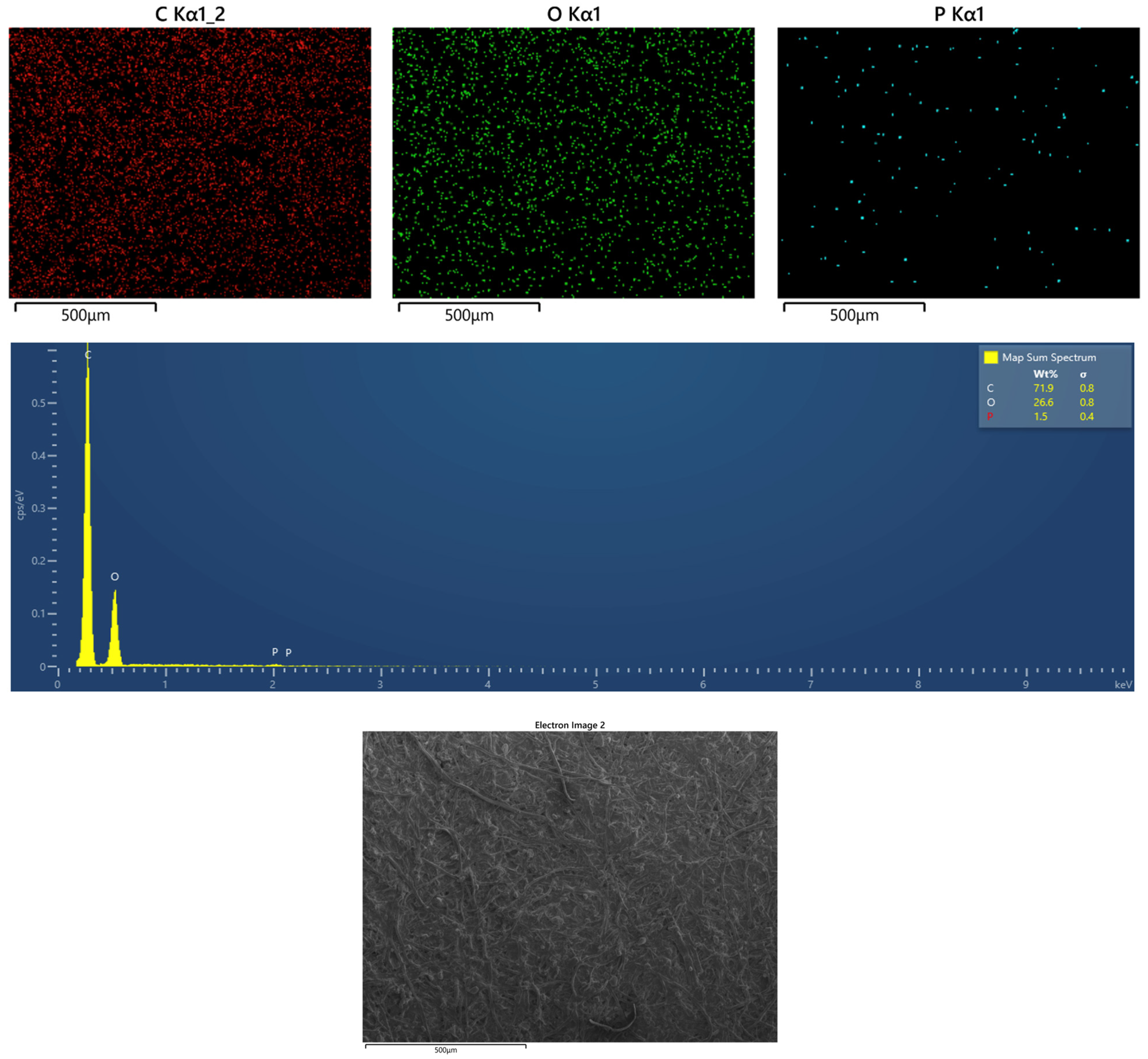 Applsci 13 11568 g013