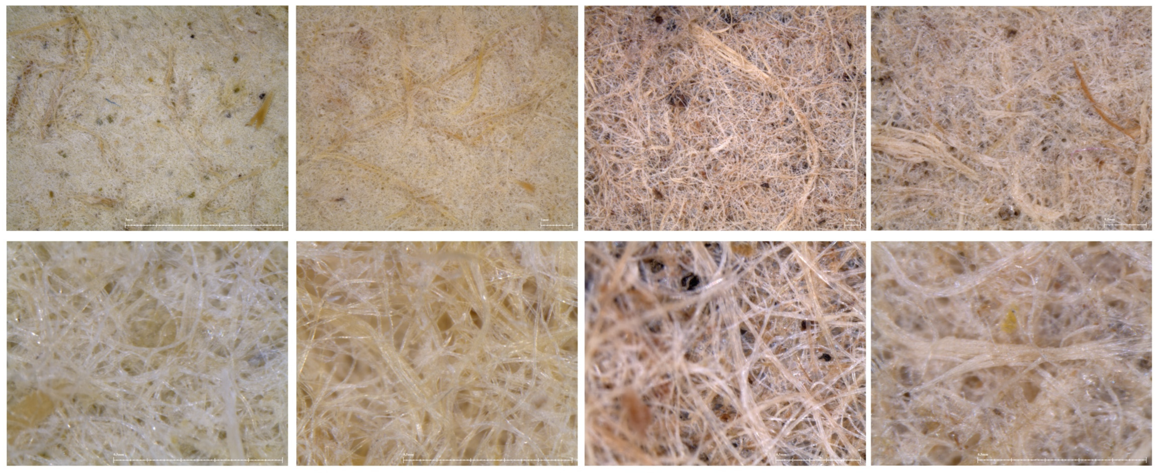 Applsci 13 11568 g015