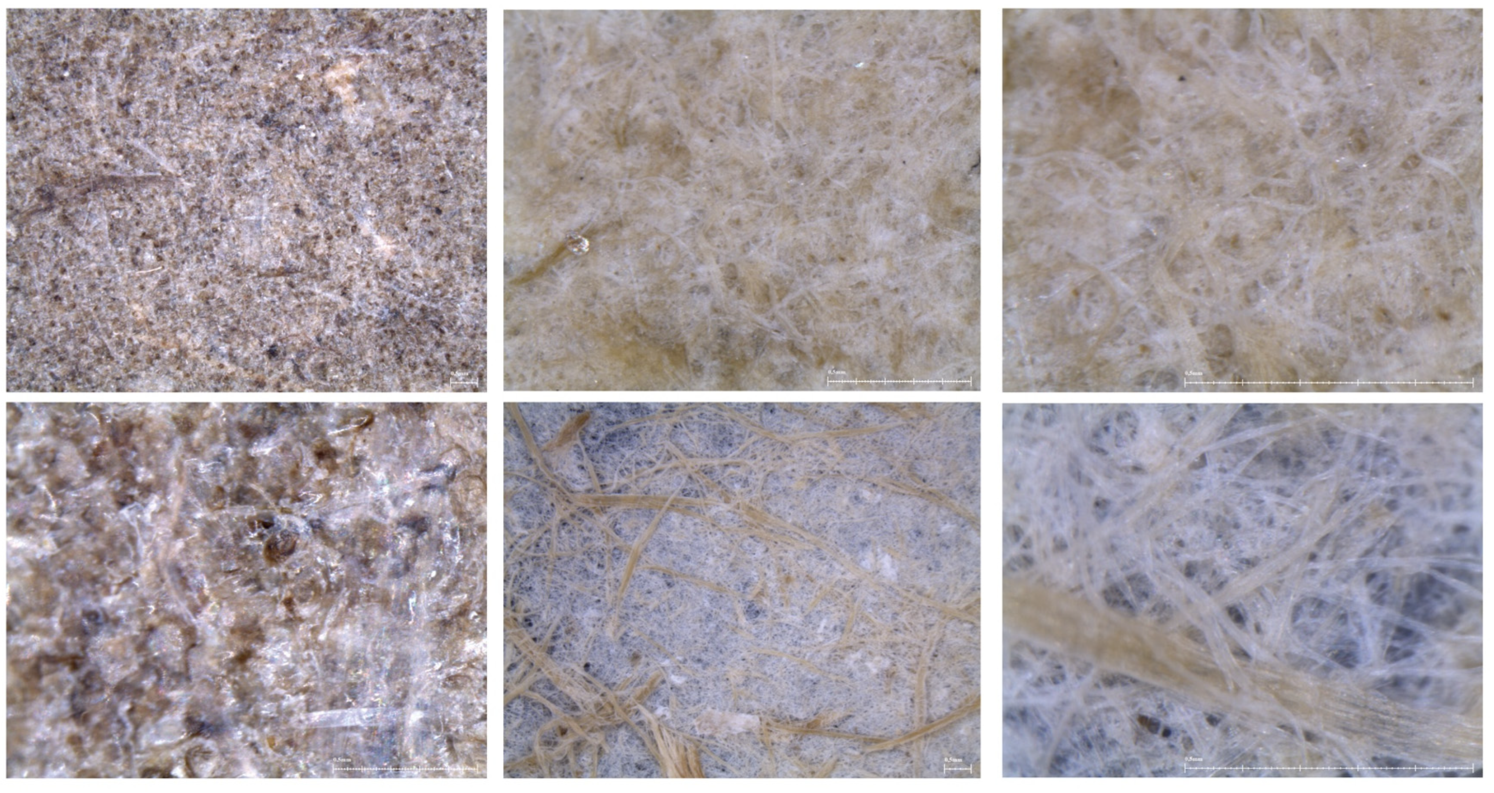 Applsci 13 11568 g016