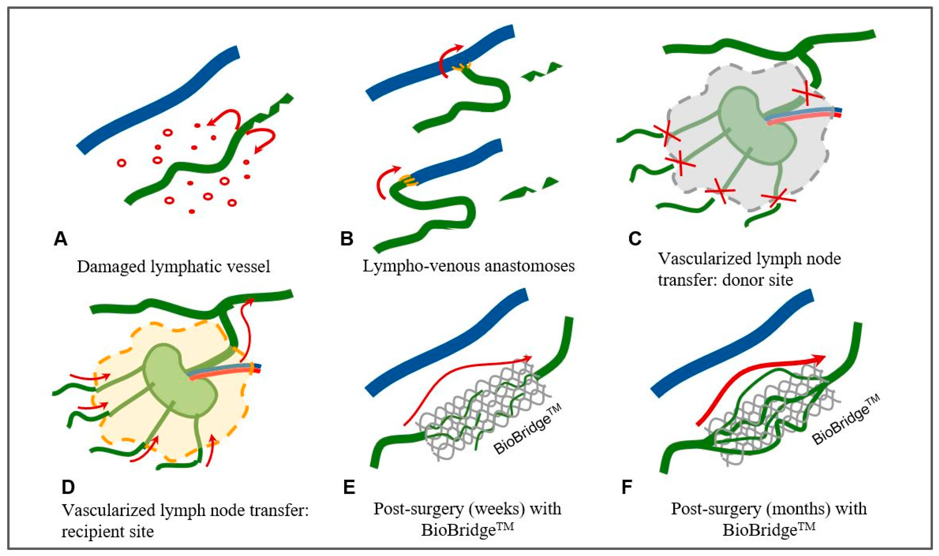 Applsci 13 11571 g002