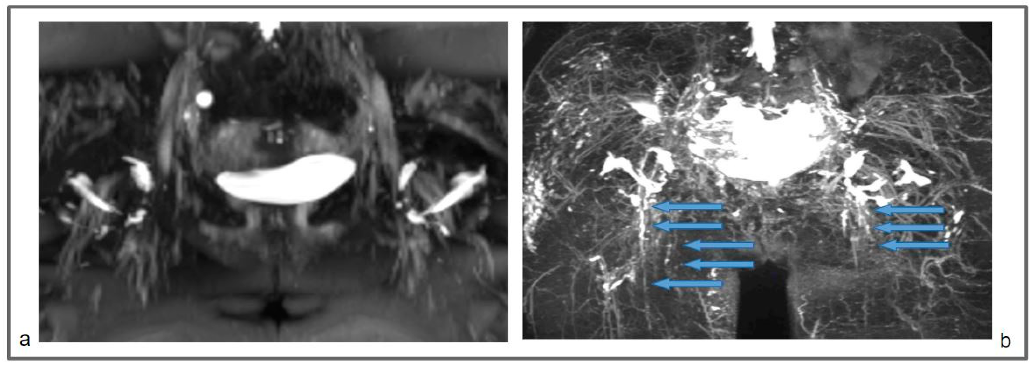 Applsci 13 11571 g005