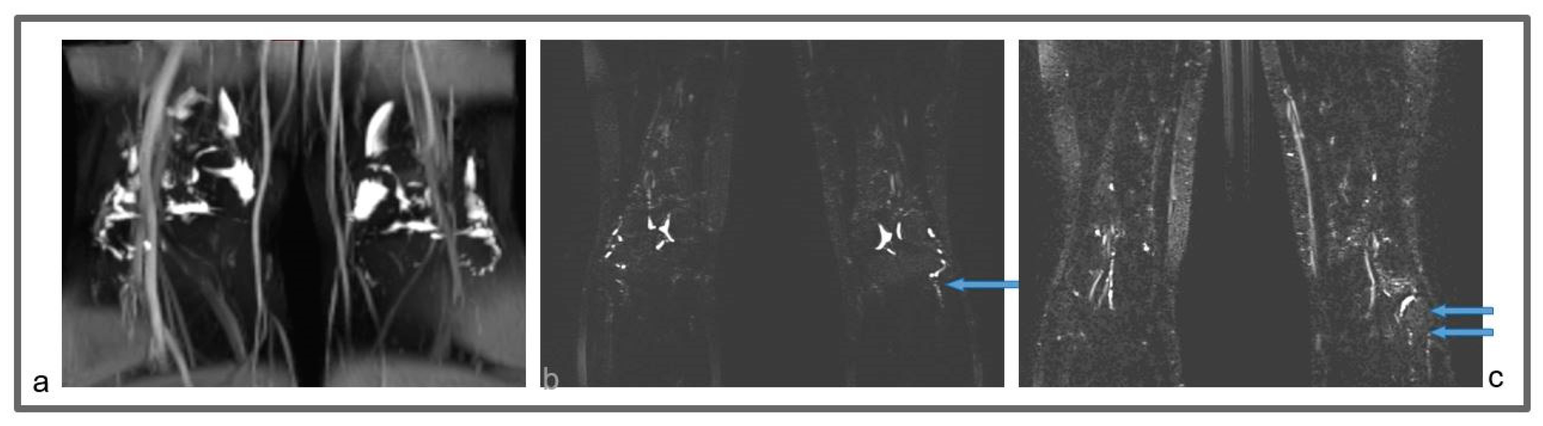 Applsci 13 11571 g008