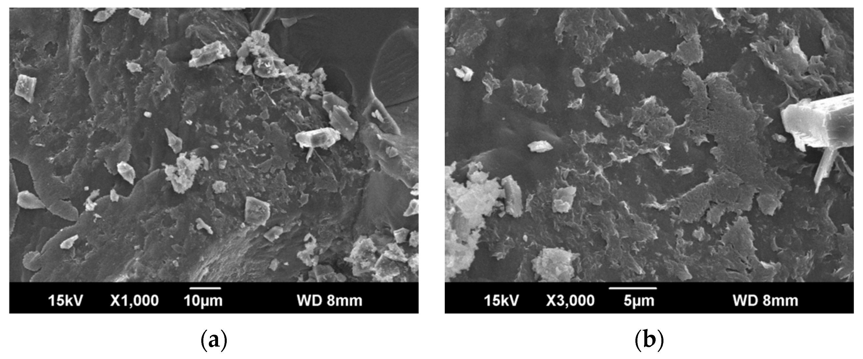 Applsci 13 11579 g002