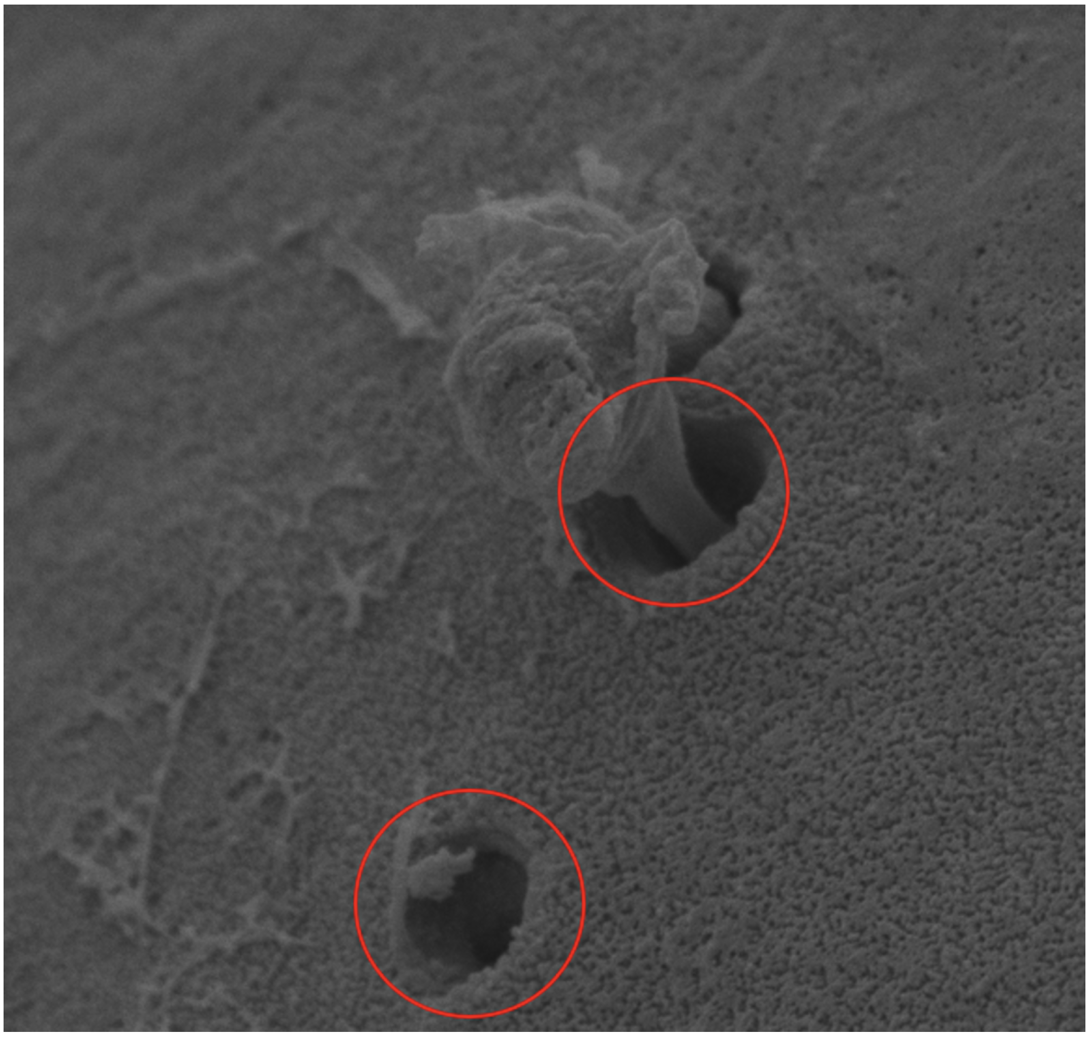 Applsci 13 11580 g002