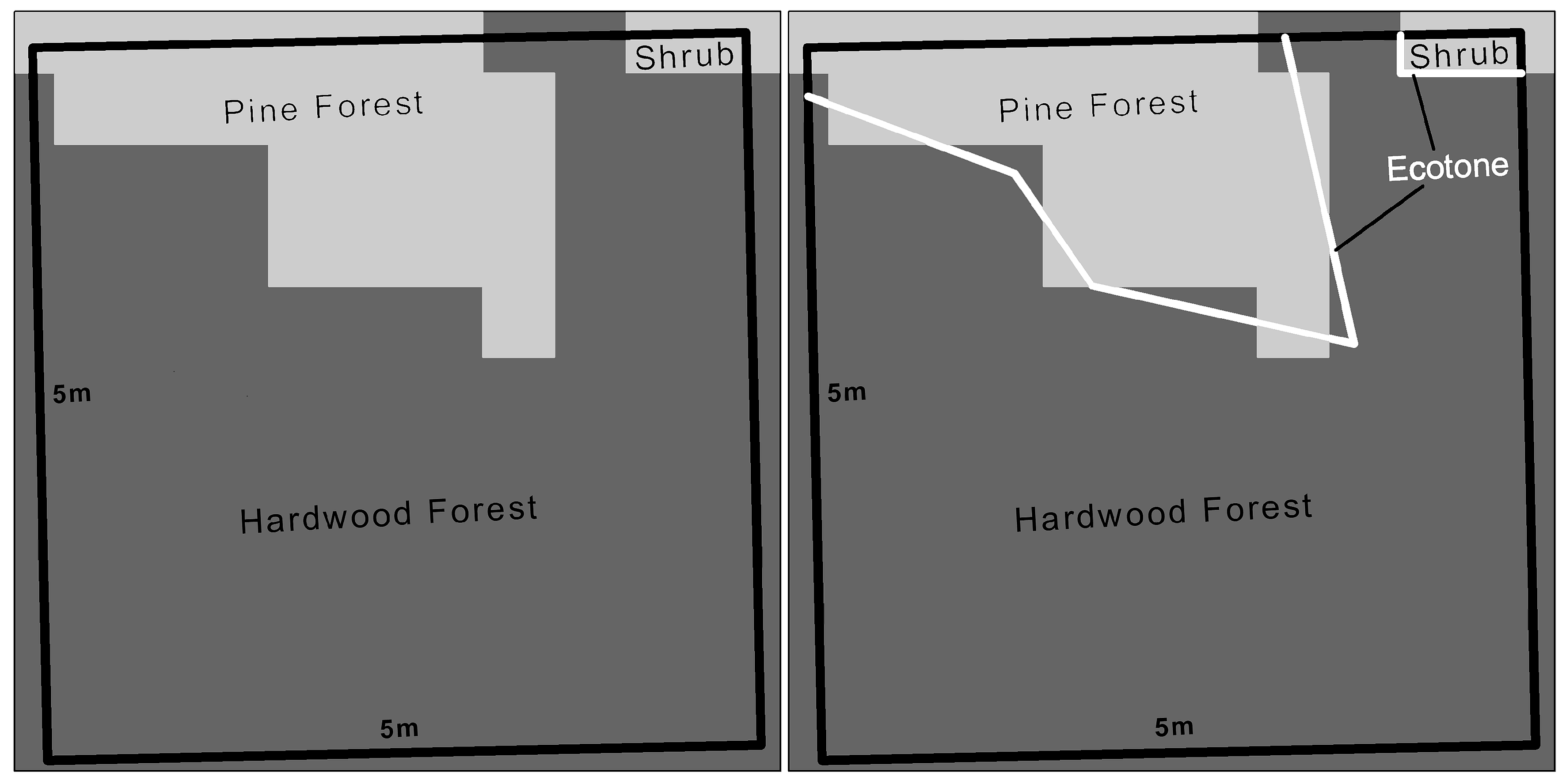 Applsci 13 11587 g003