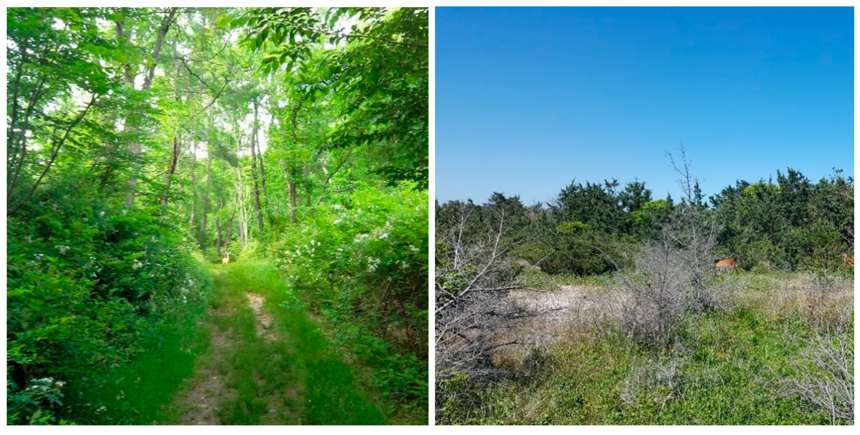 Applsci 13 11587 g008