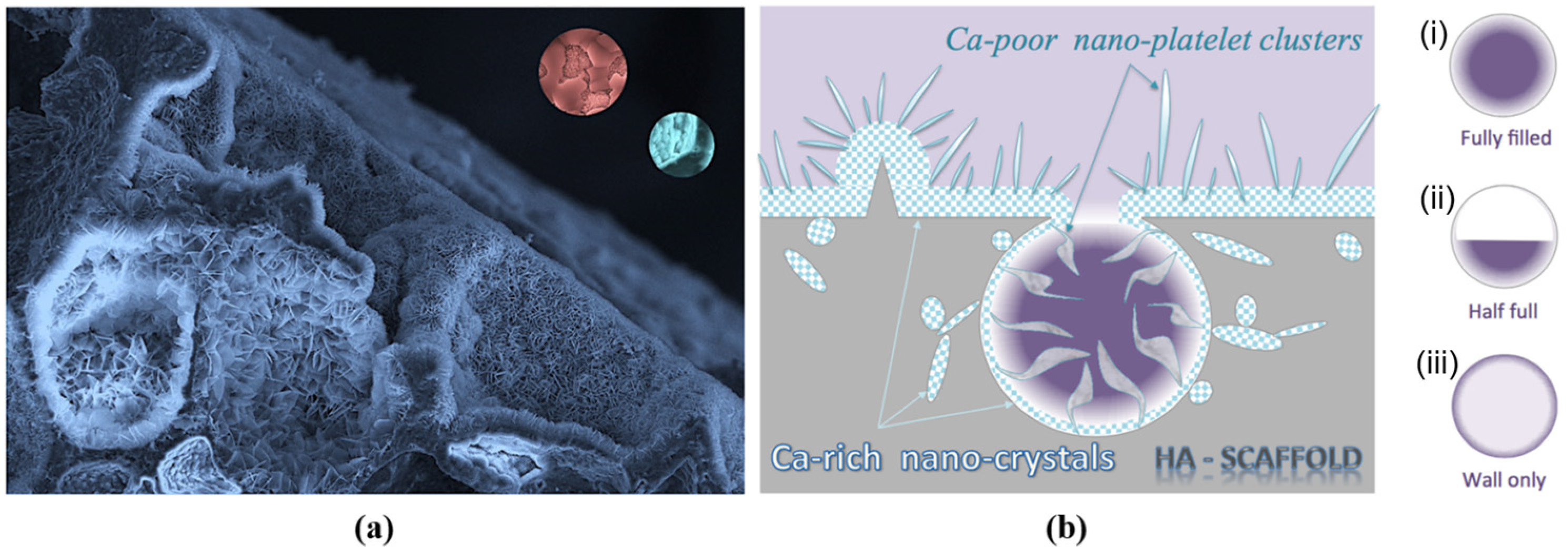 Applsci 13 11593 g002