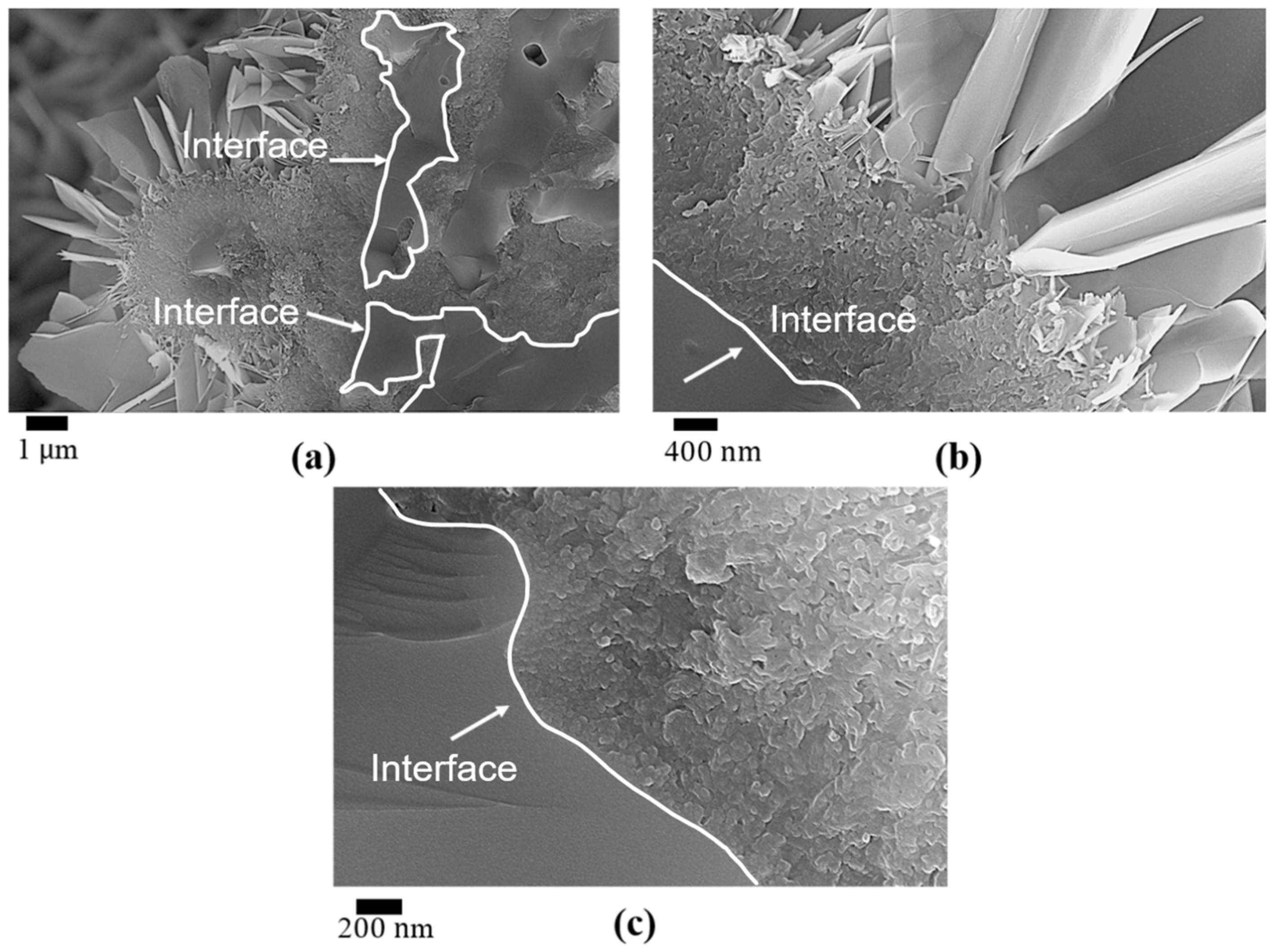 Applsci 13 11593 g004