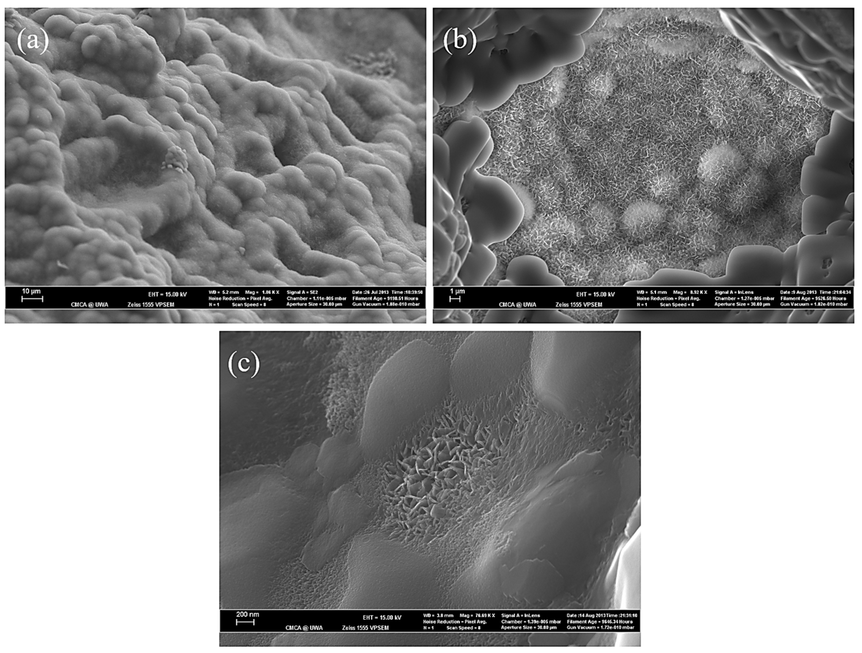 Applsci 13 11593 g010