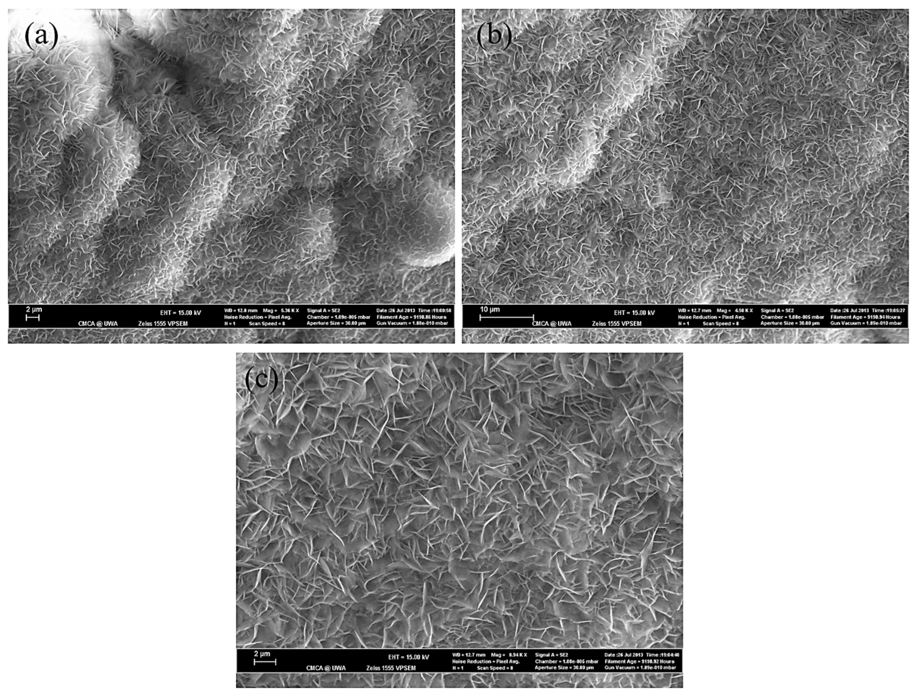 Applsci 13 11593 g011