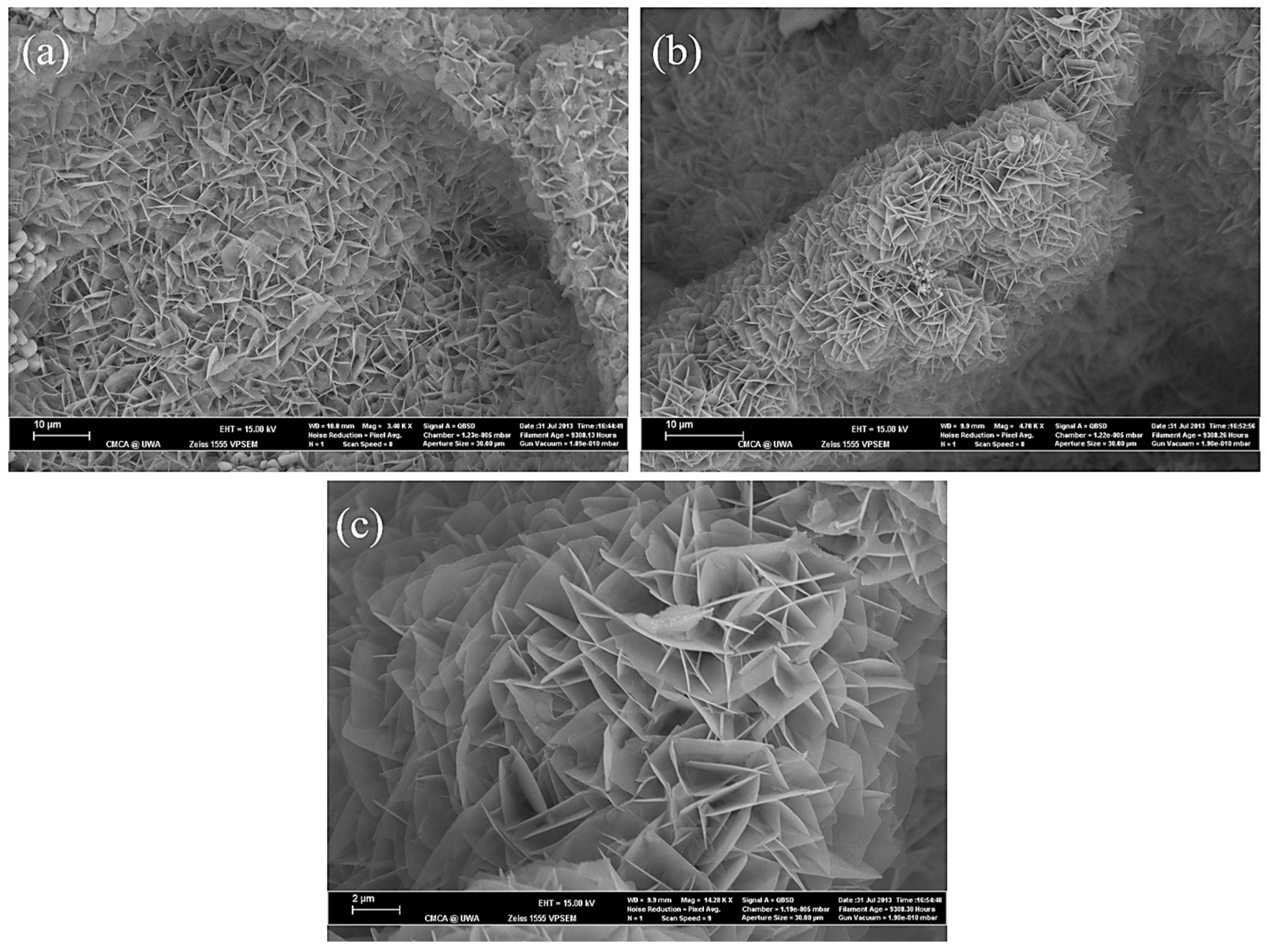 Applsci 13 11593 g013