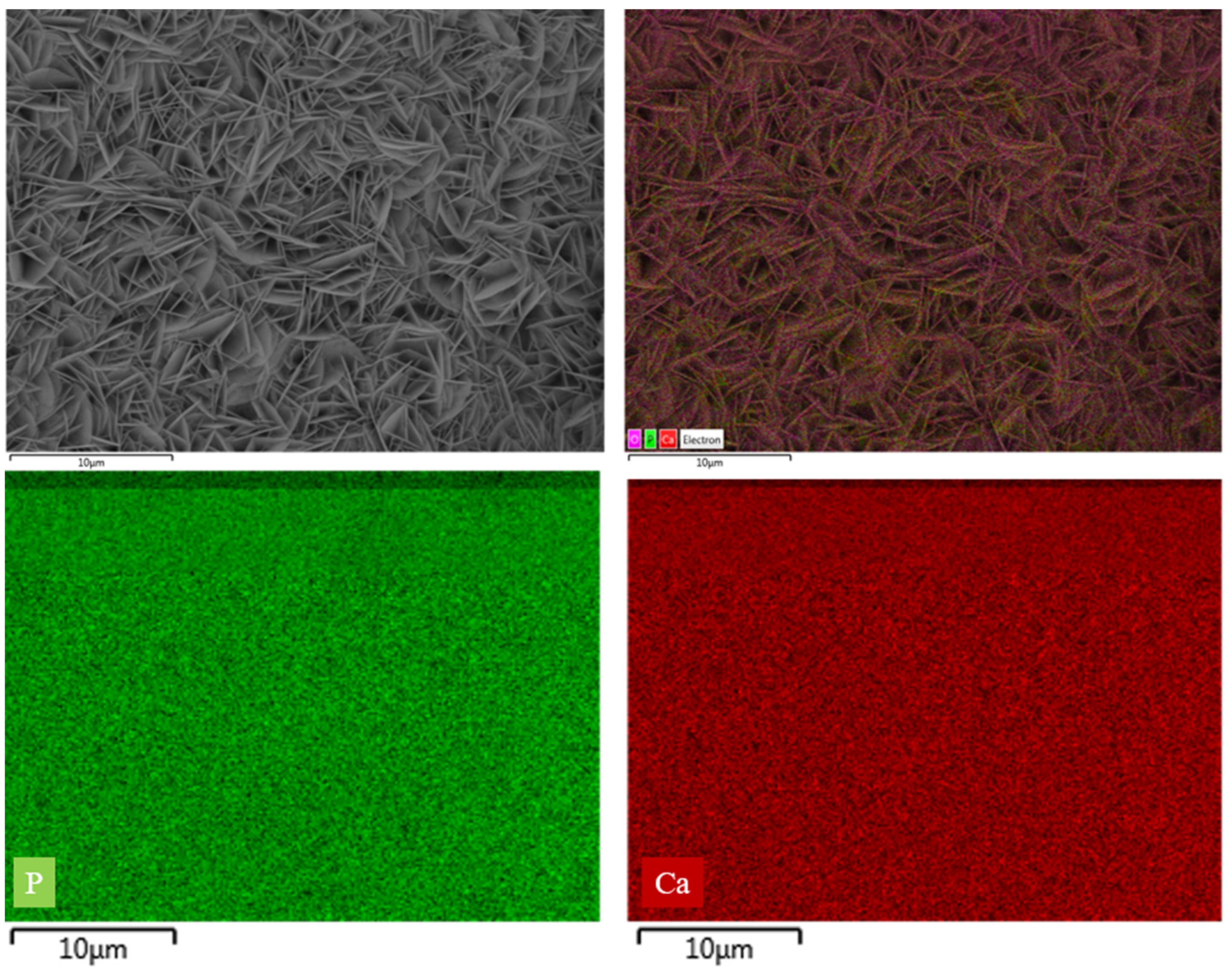 Applsci 13 11593 g015