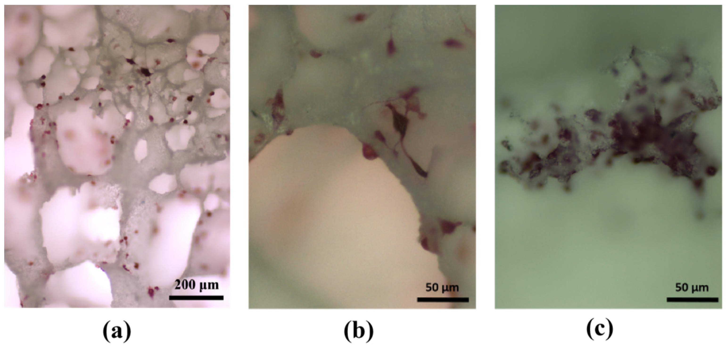 Applsci 13 11593 g017