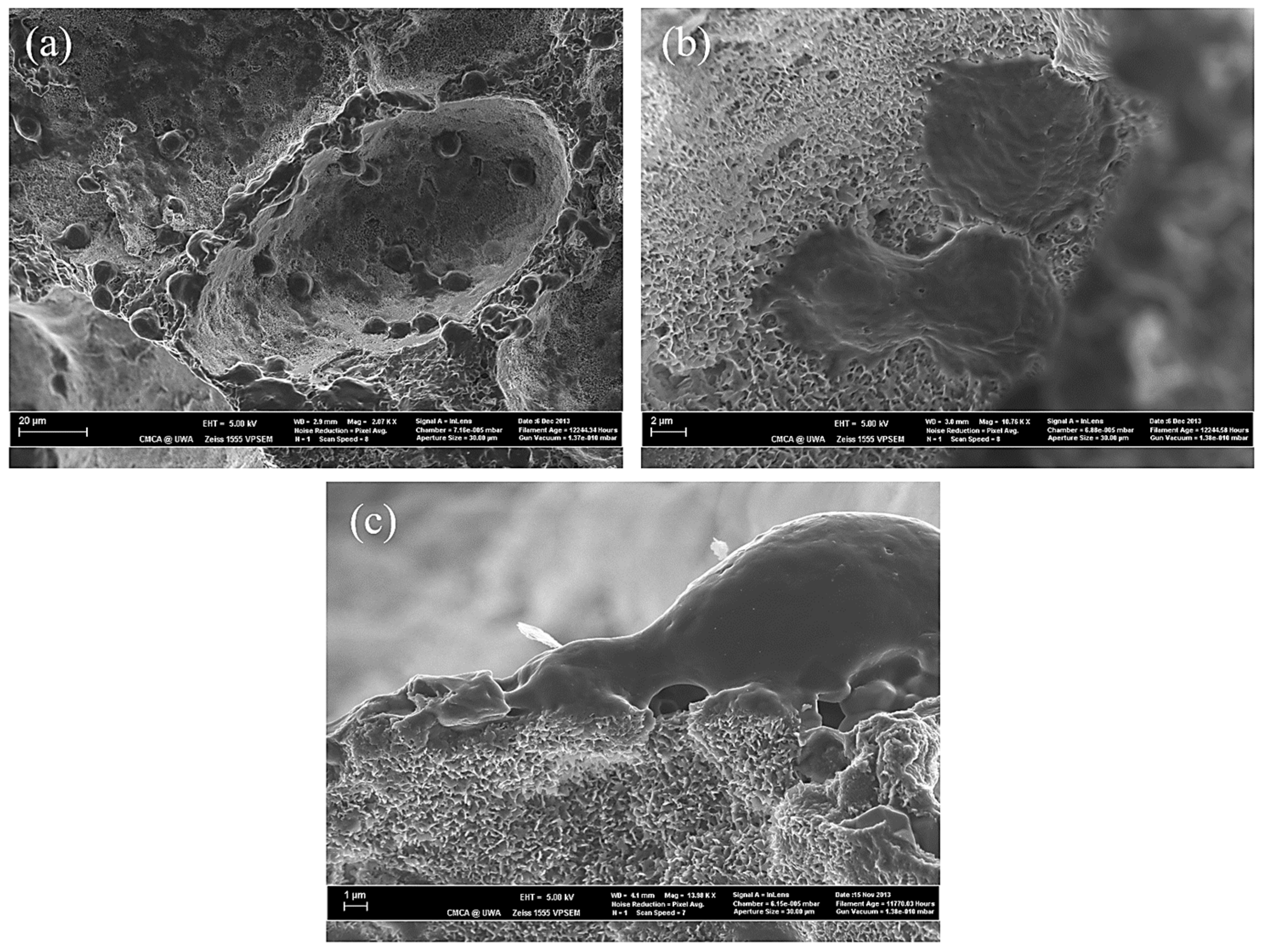 Applsci 13 11593 g019