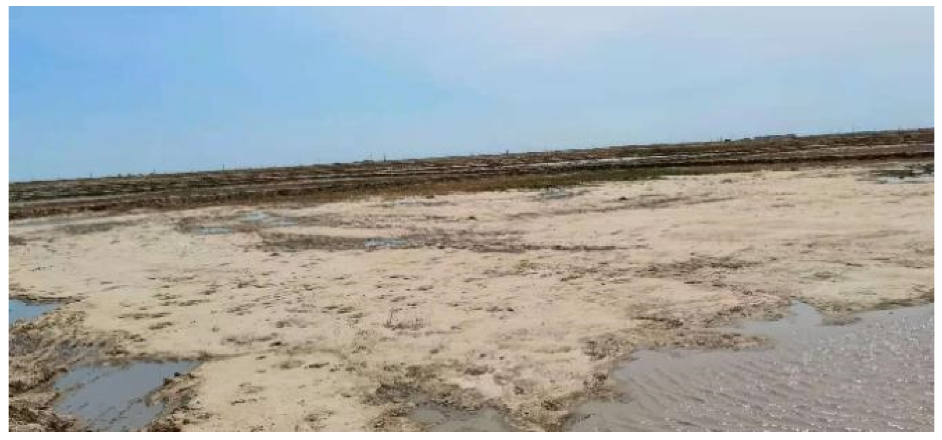 Applsci 13 11596 g002