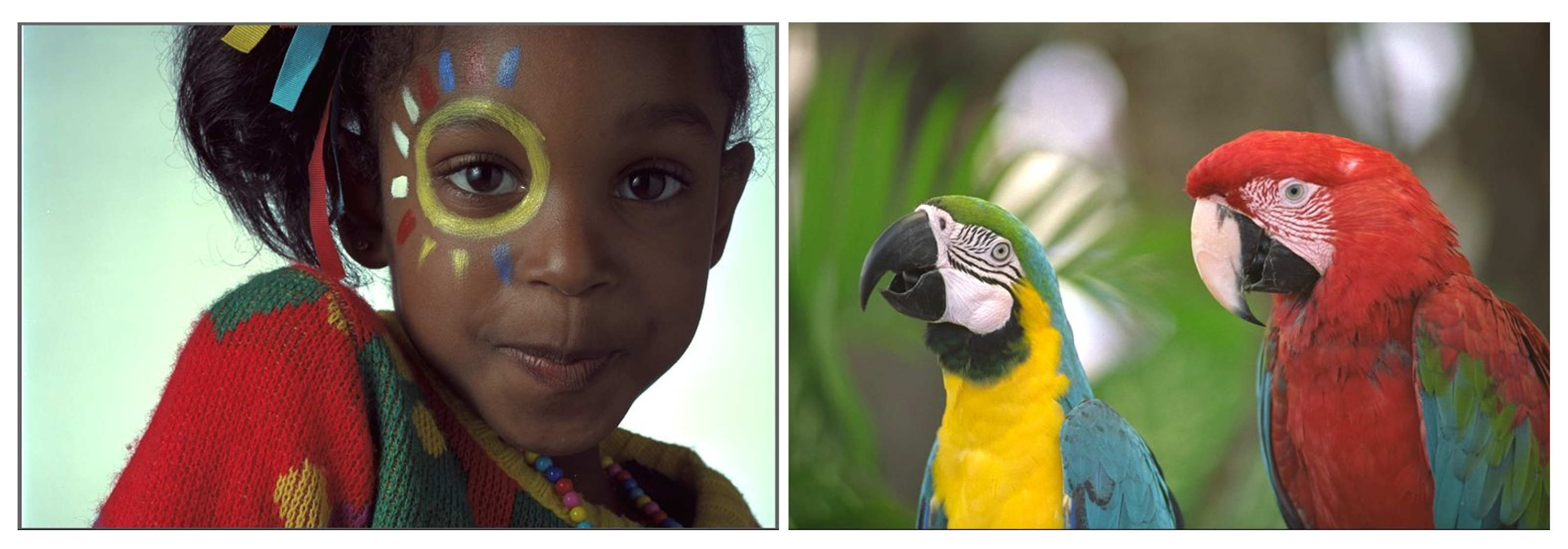 Applsci 13 11600 g008