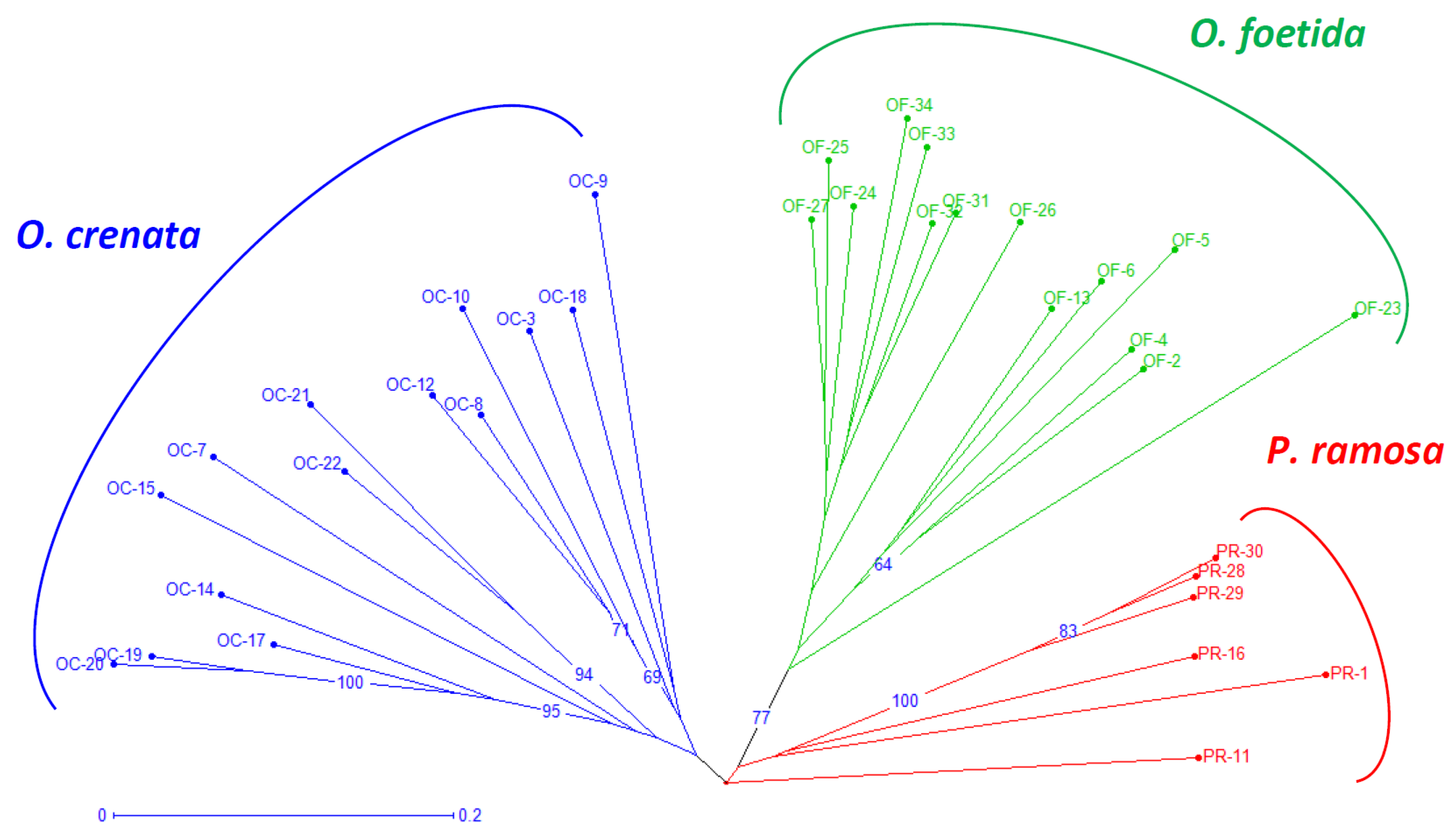 Applsci 13 11622 g002
