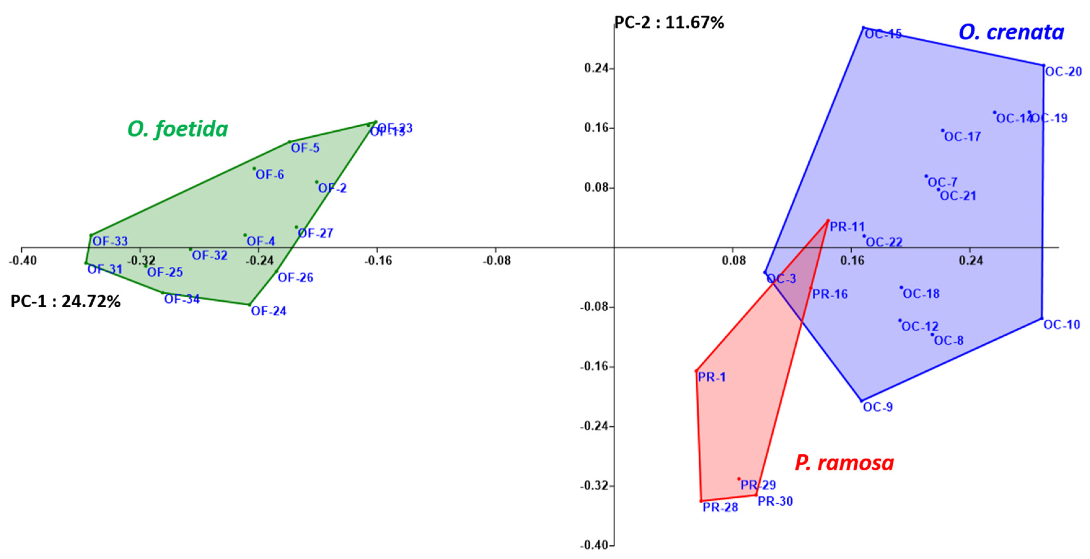 Applsci 13 11622 g003