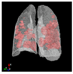 Applsci 13 11640 i022