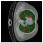 Applsci 13 11640 i031