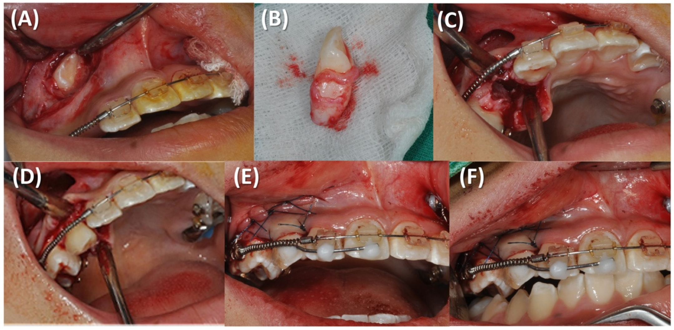Applsci 13 11665 g005