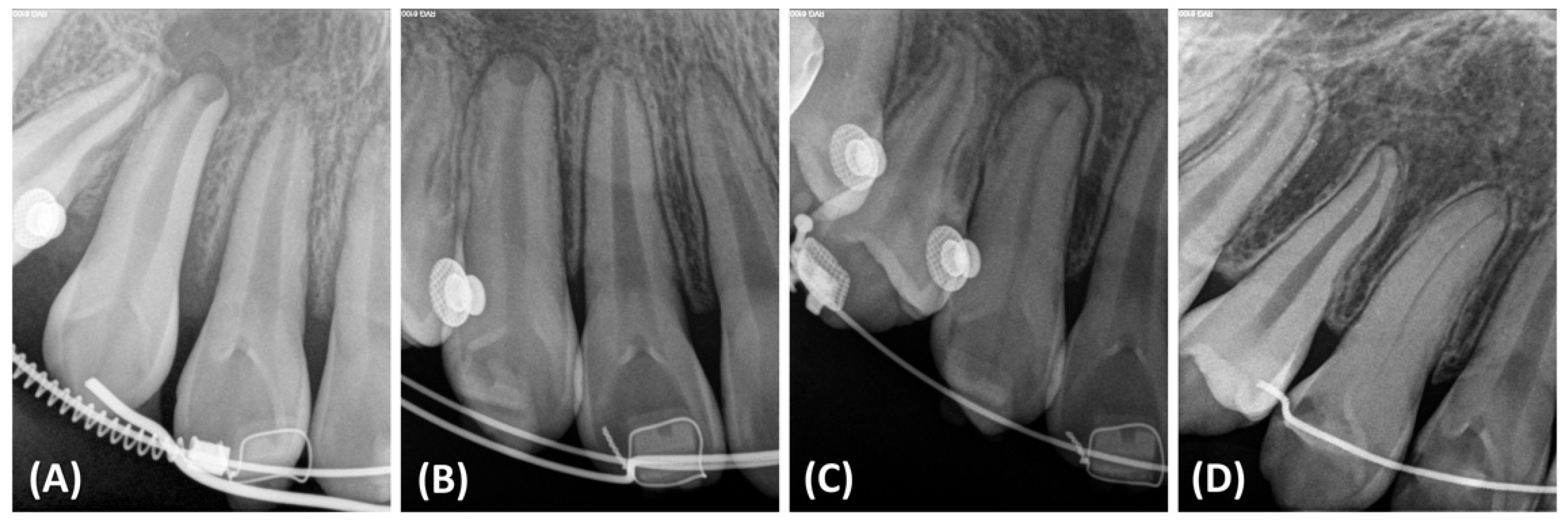 Applsci 13 11665 g008