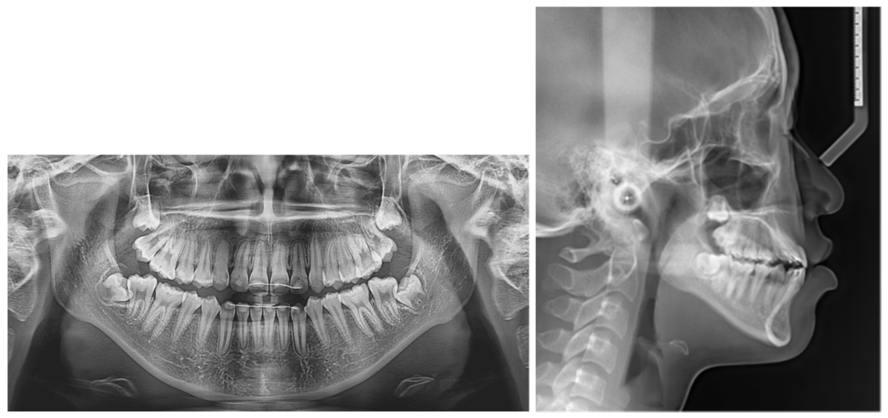 Applsci 13 11665 g012