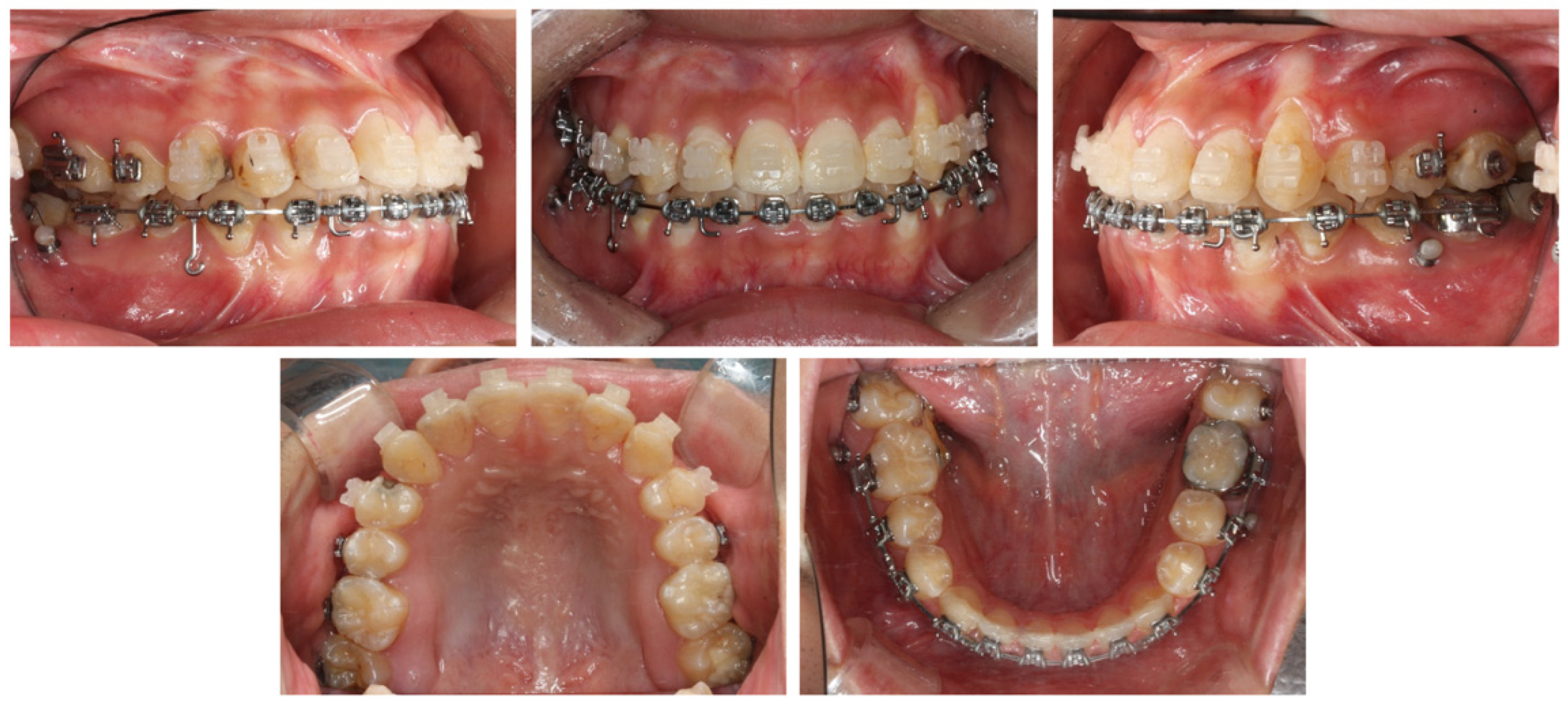 Applsci 13 11665 g013