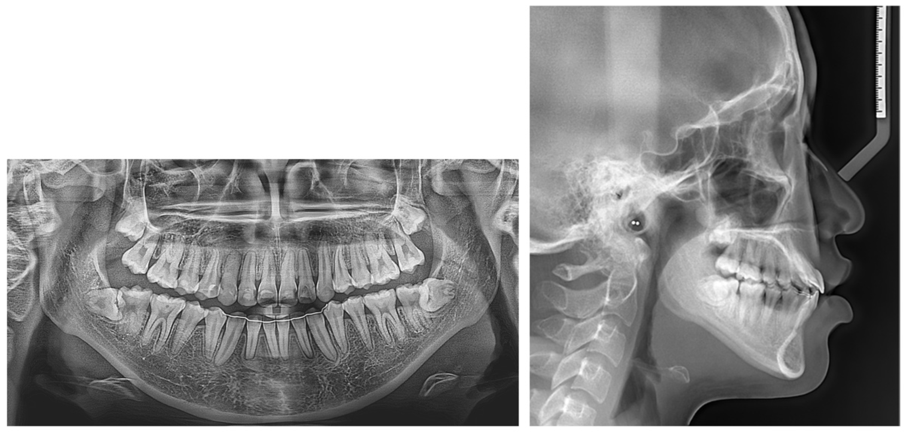 Applsci 13 11665 g015