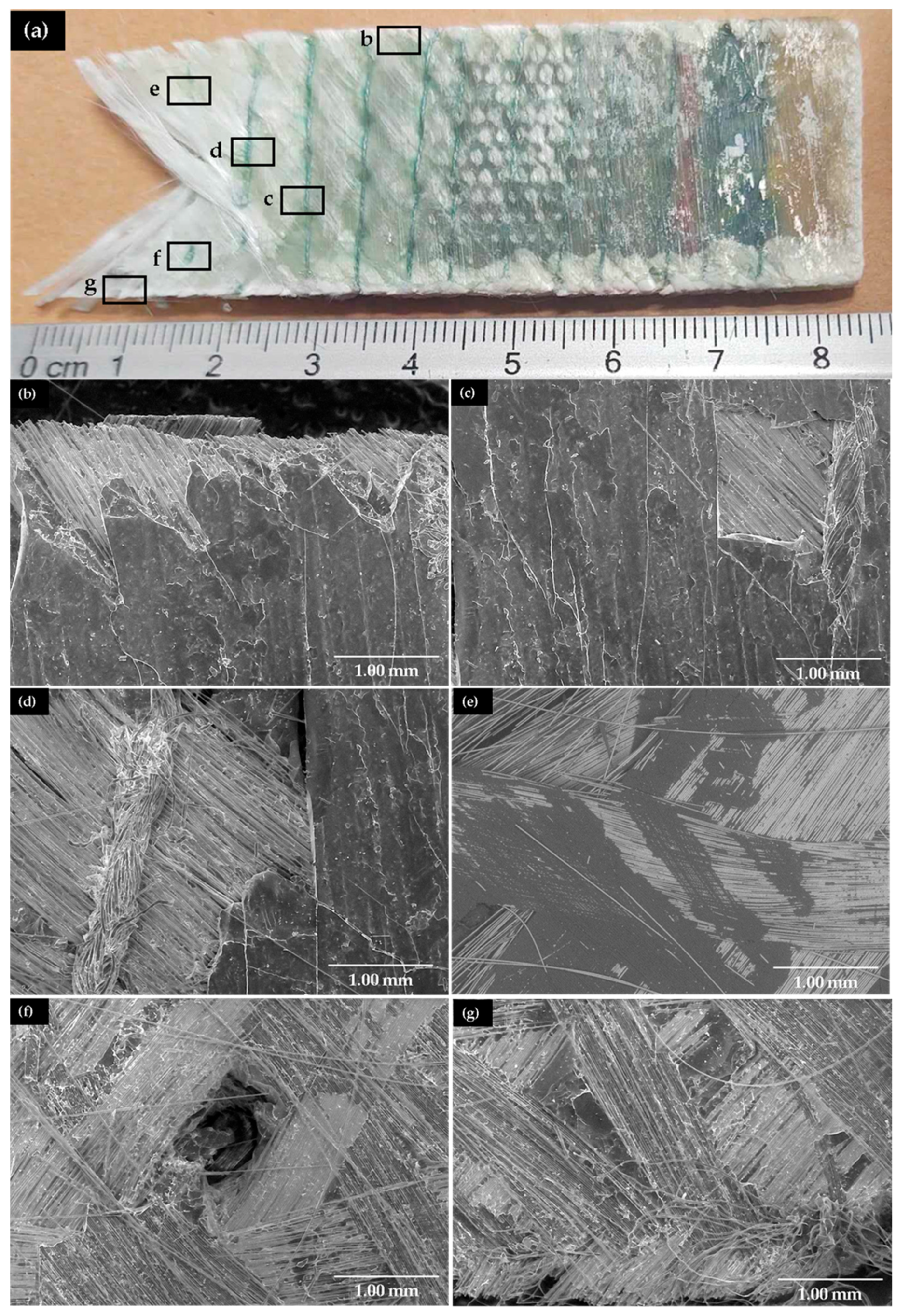 Applsci 13 11679 g007