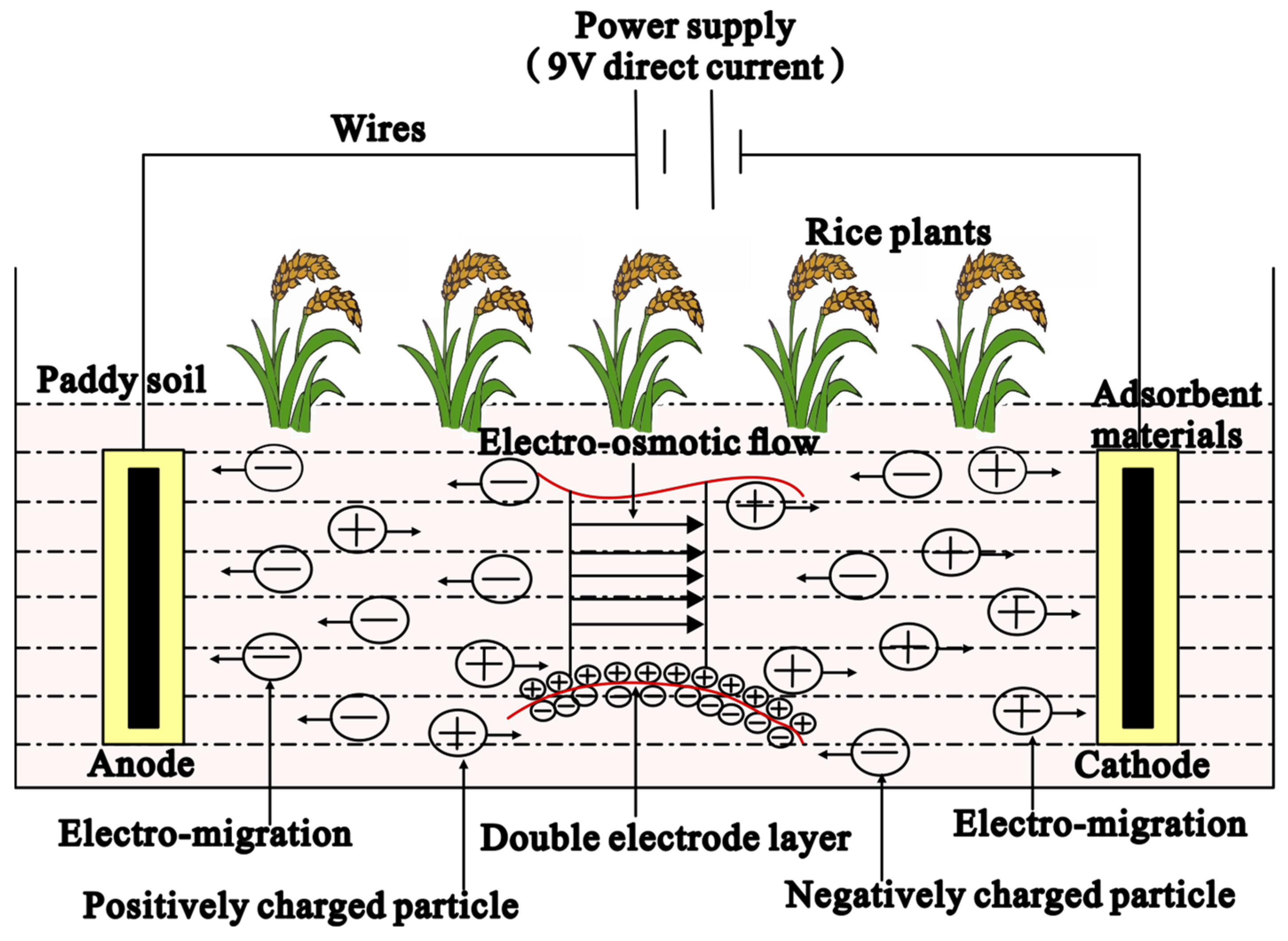 Applsci 13 11685 g002