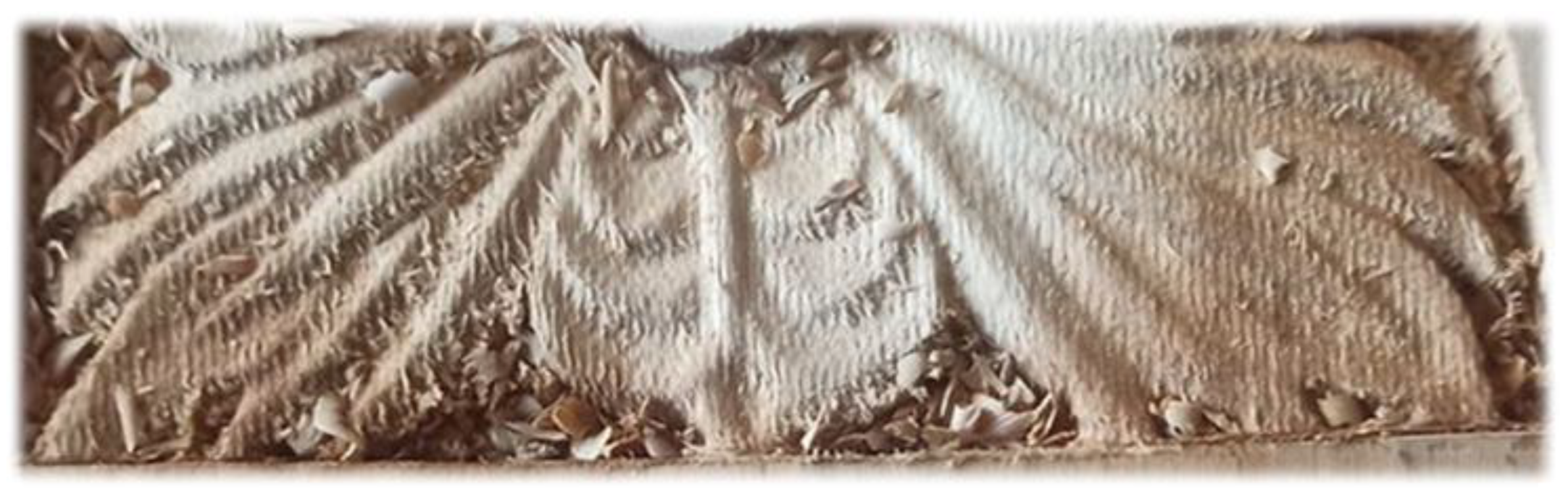 Applsci 13 11690 g004